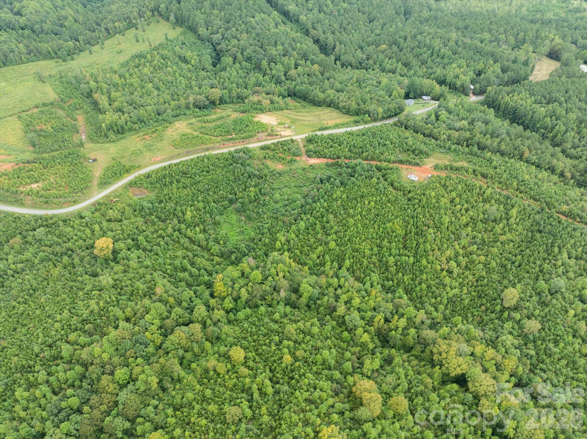 Tbd Pea Ridge Road Property Photo 23