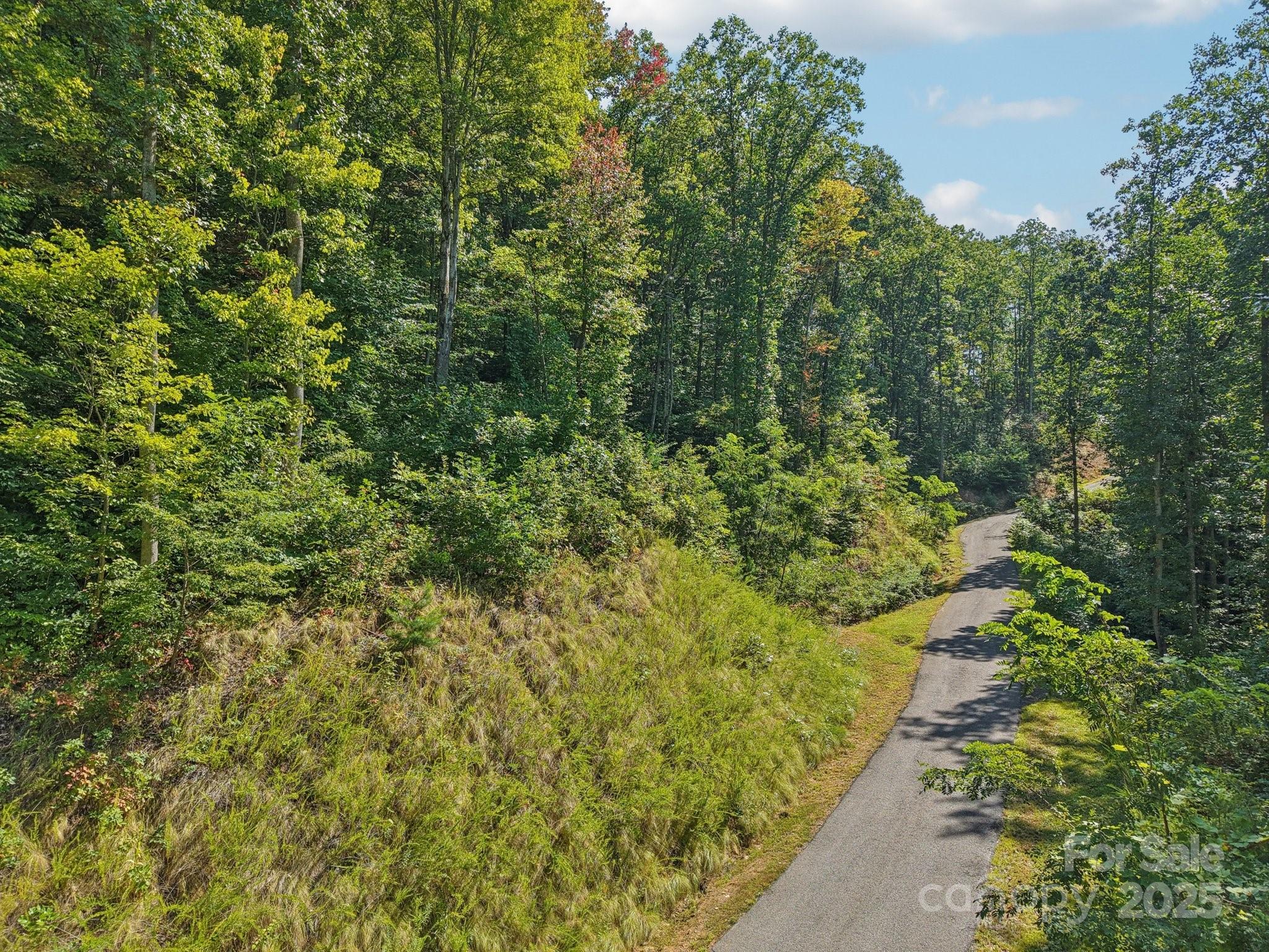 000 Biltmore View Drive 10 Property Photo 12
