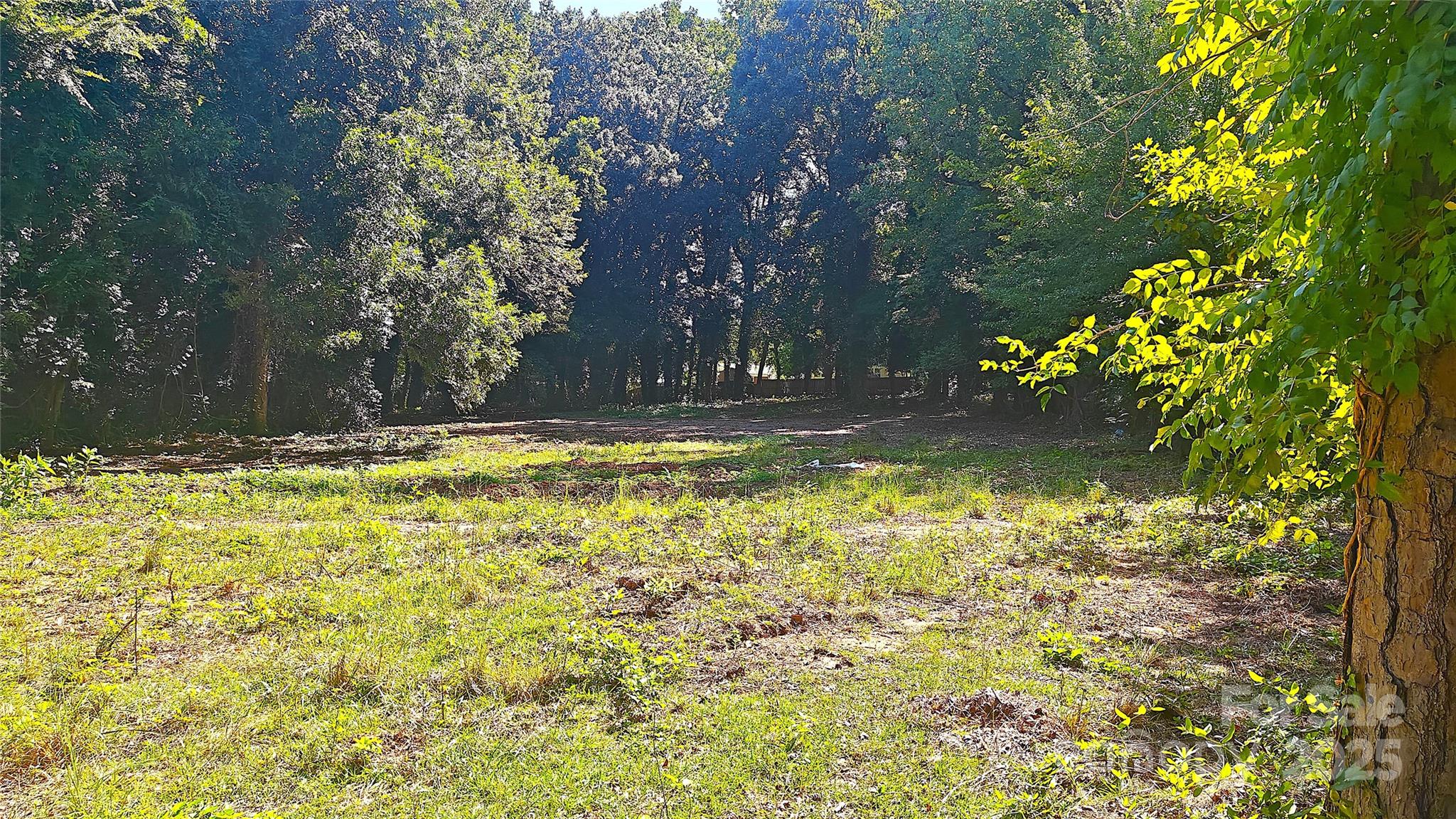 2217 Eastway Drive Property Photo 3