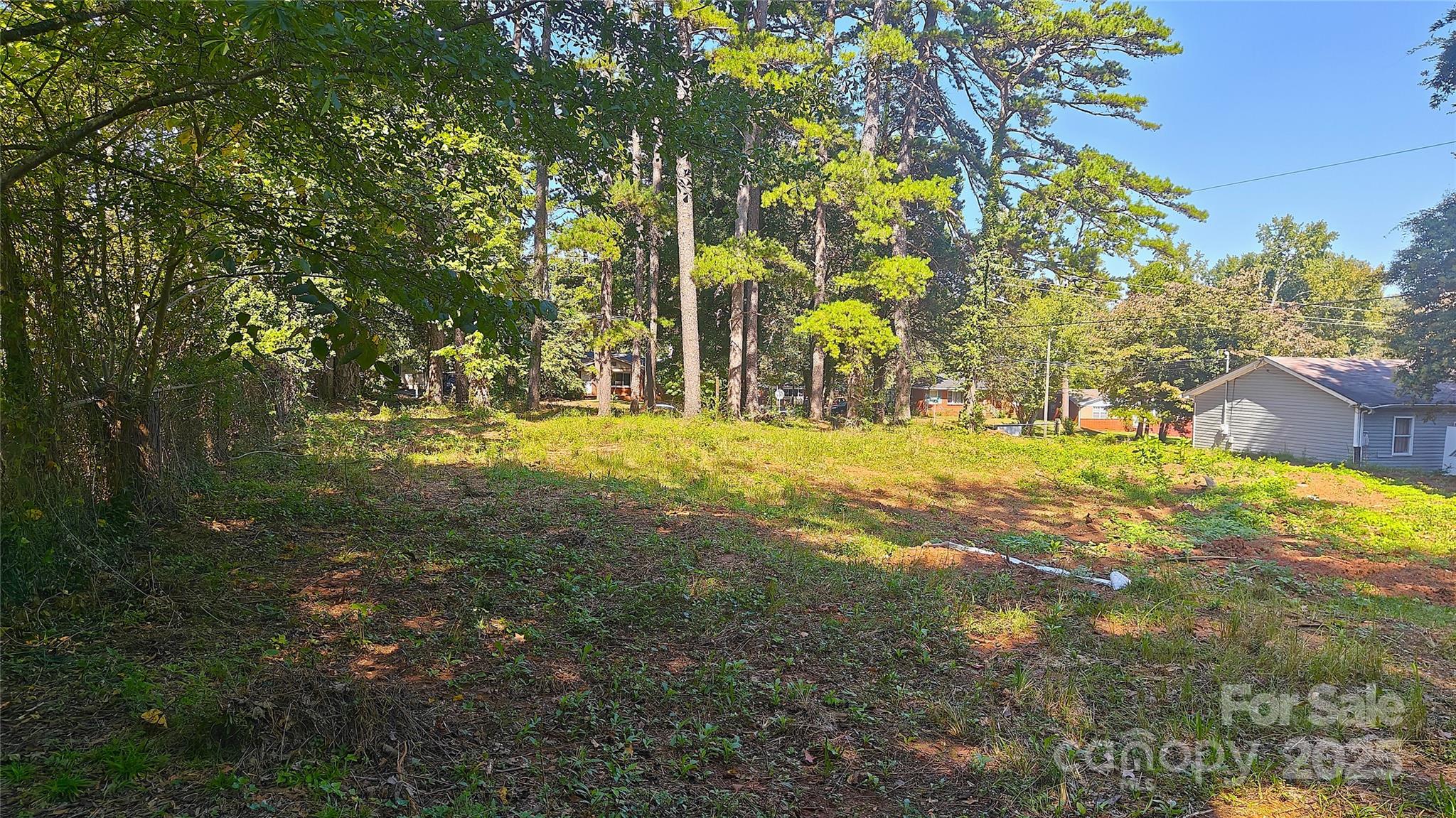 2217 Eastway Drive Property Photo 5