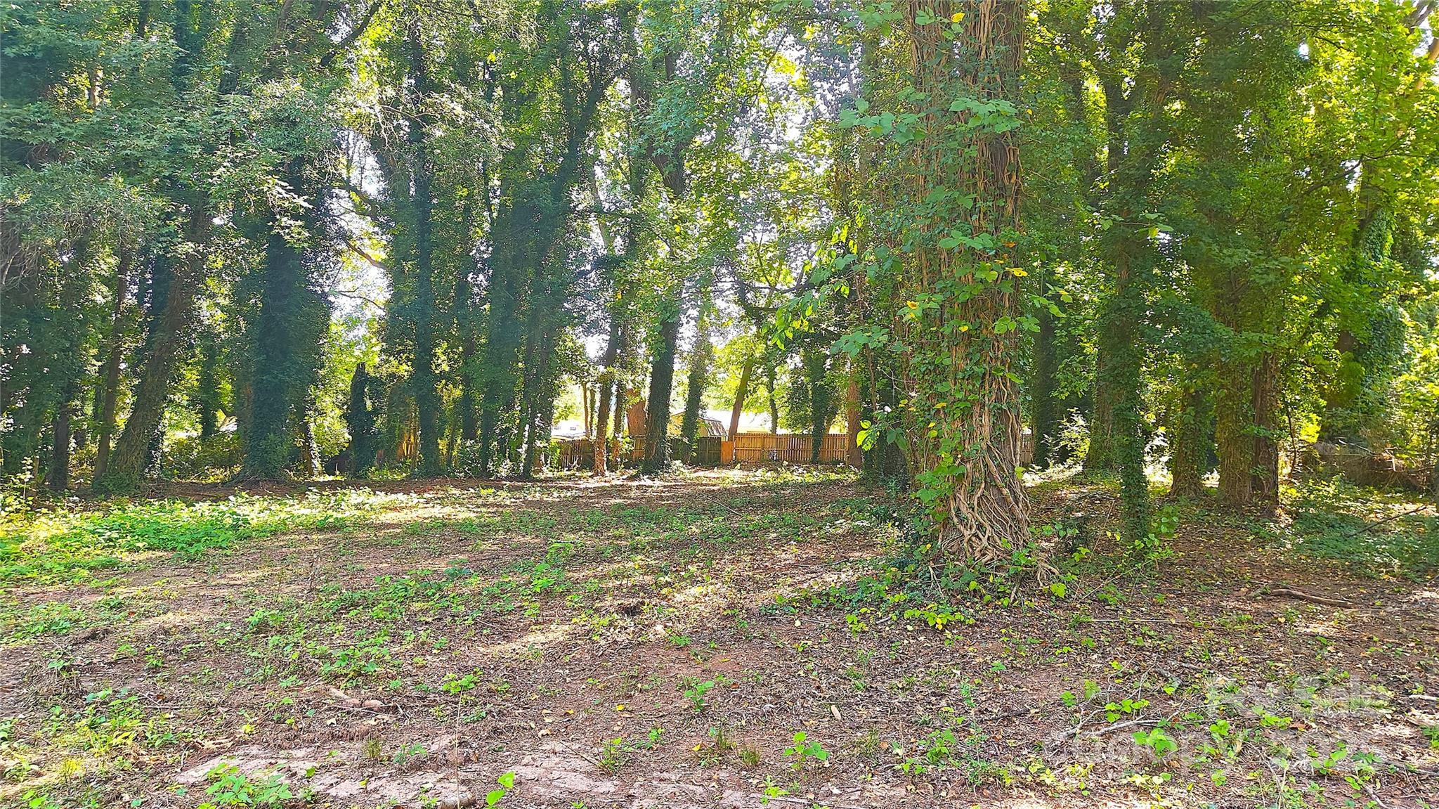 2217 Eastway Drive Property Photo 9