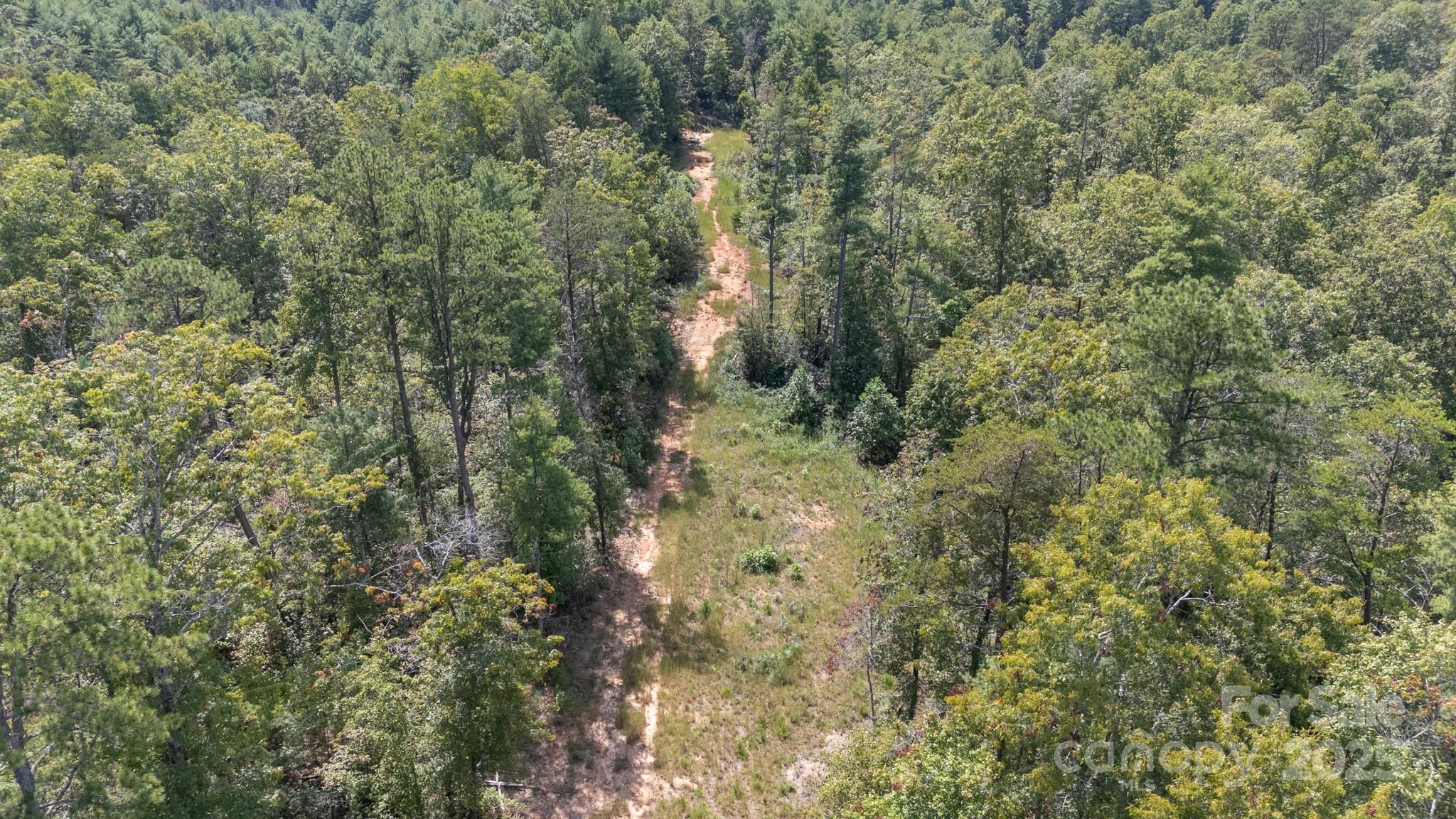 1831 John Wilson Lane 3 & #4 Property Photo 5