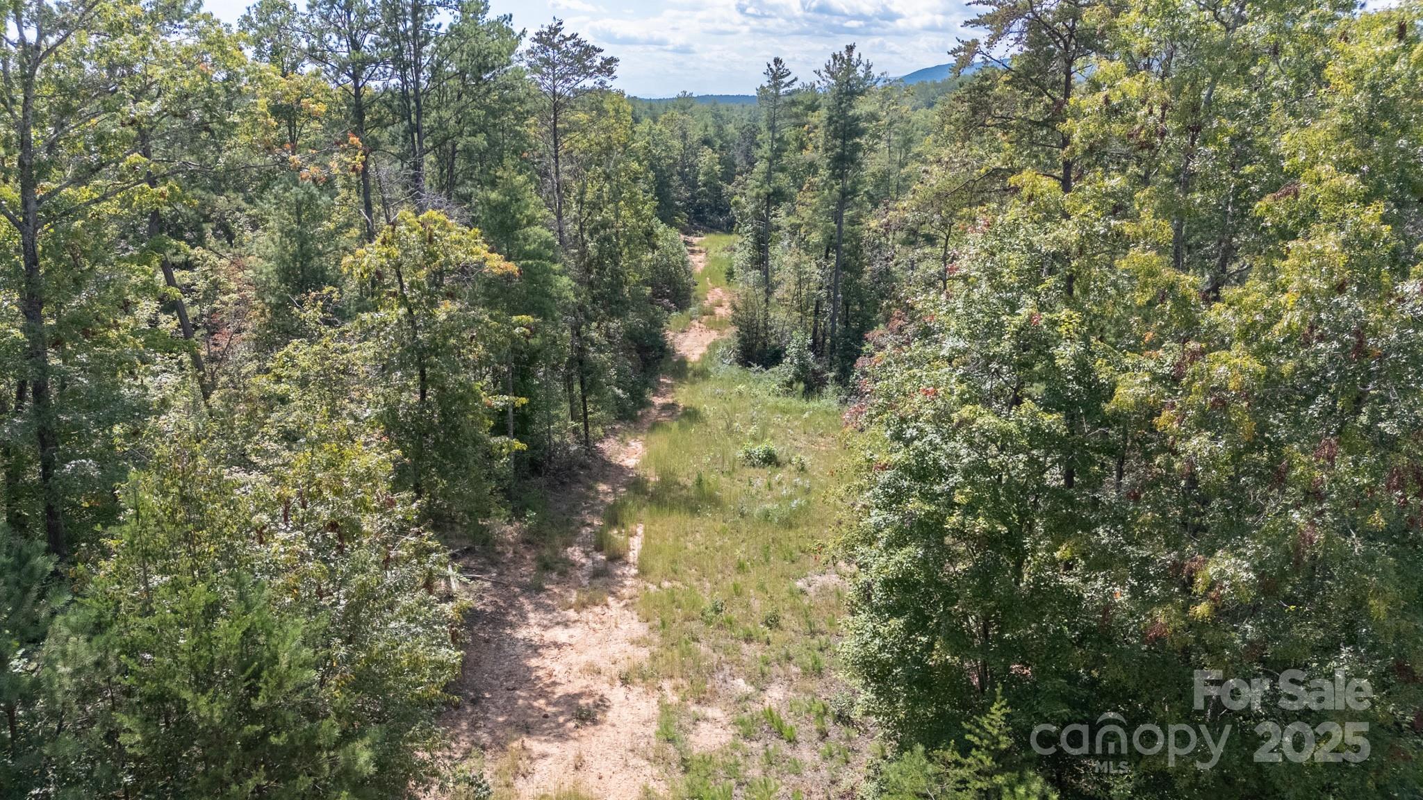 1831 John Wilson Lane 3 & #4 Property Photo 6