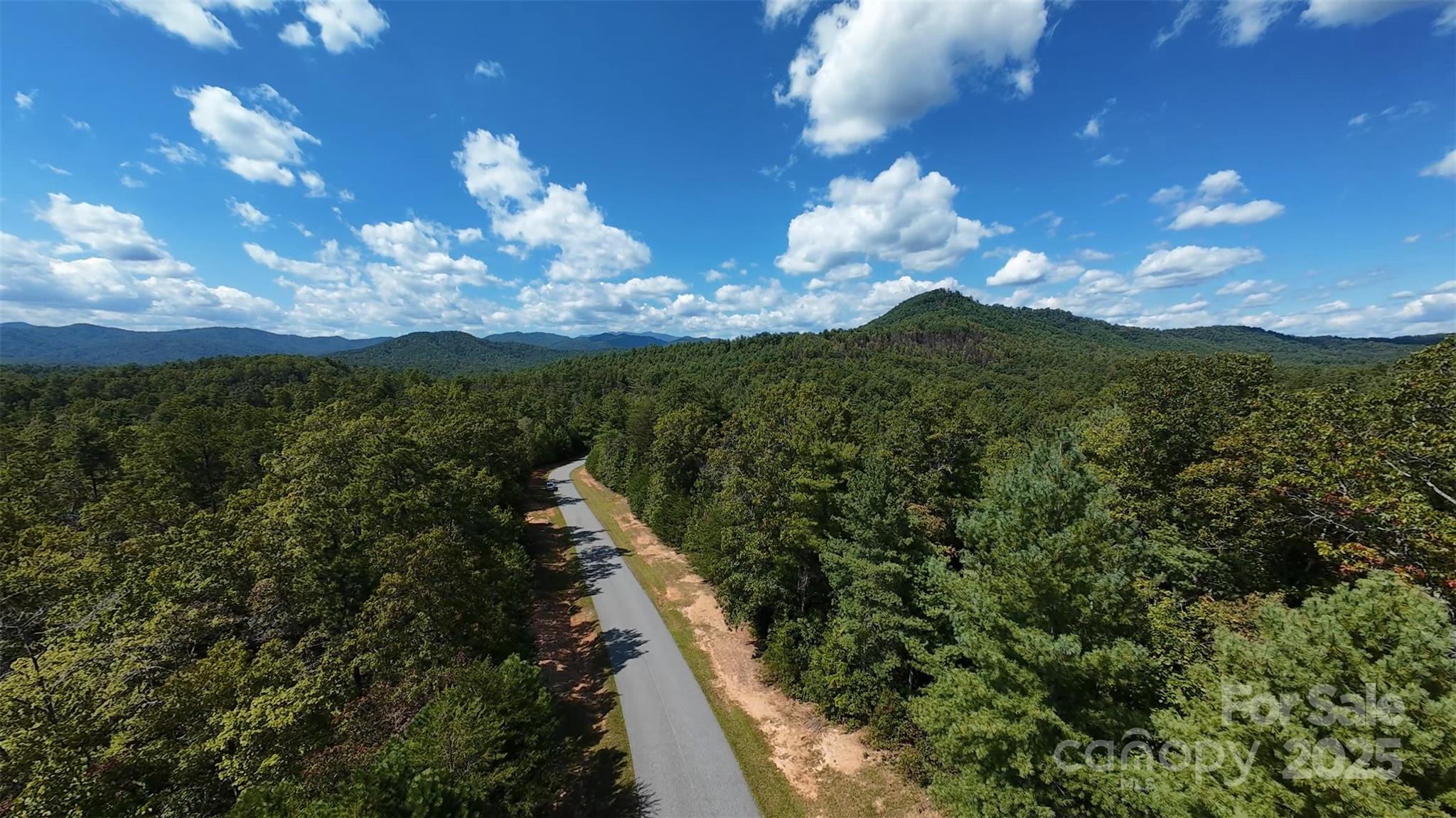 1831 John Wilson Lane 3 & #4 Property Photo 11