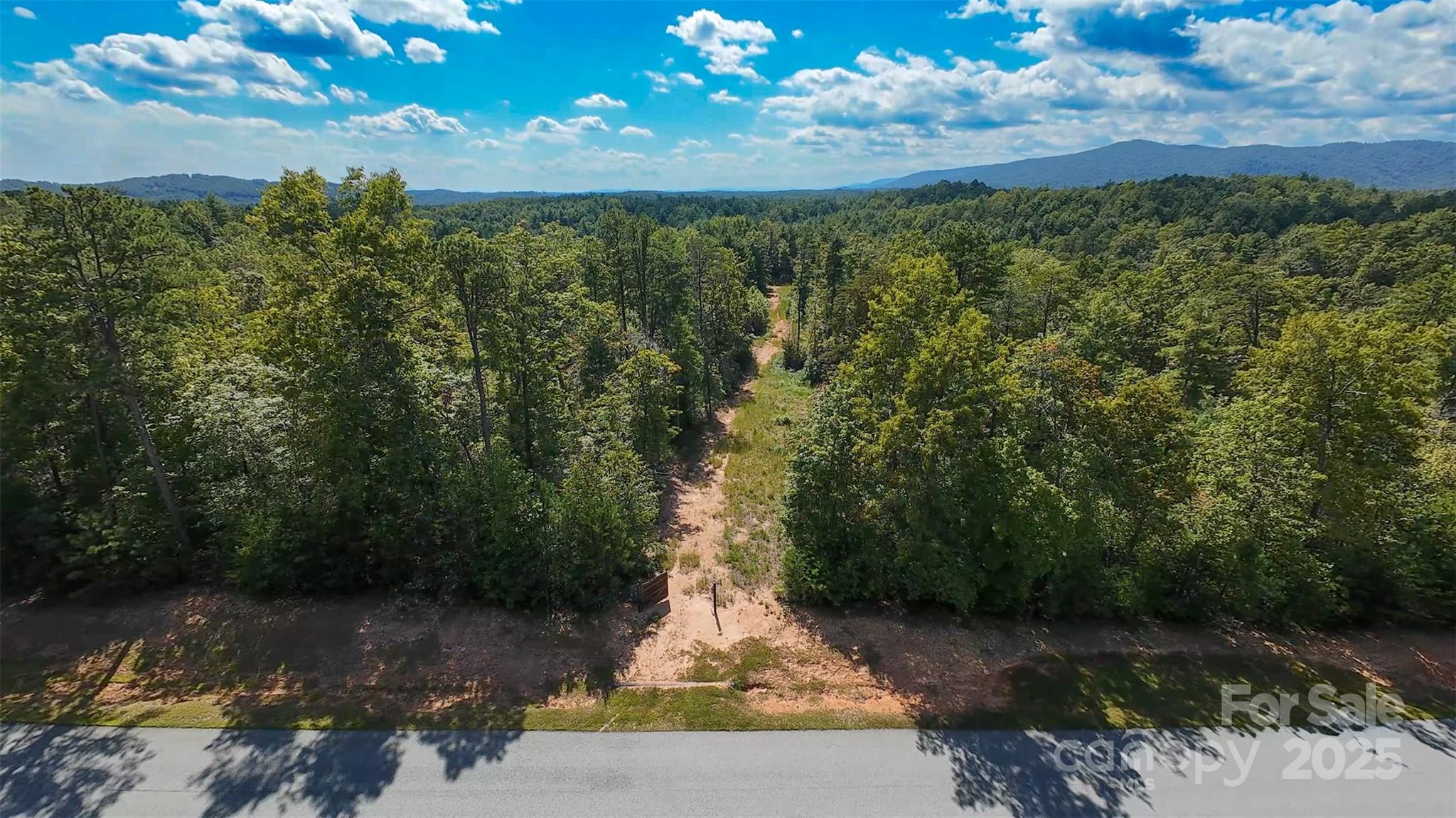 1831 John Wilson Lane 3 & #4 Property Photo 12