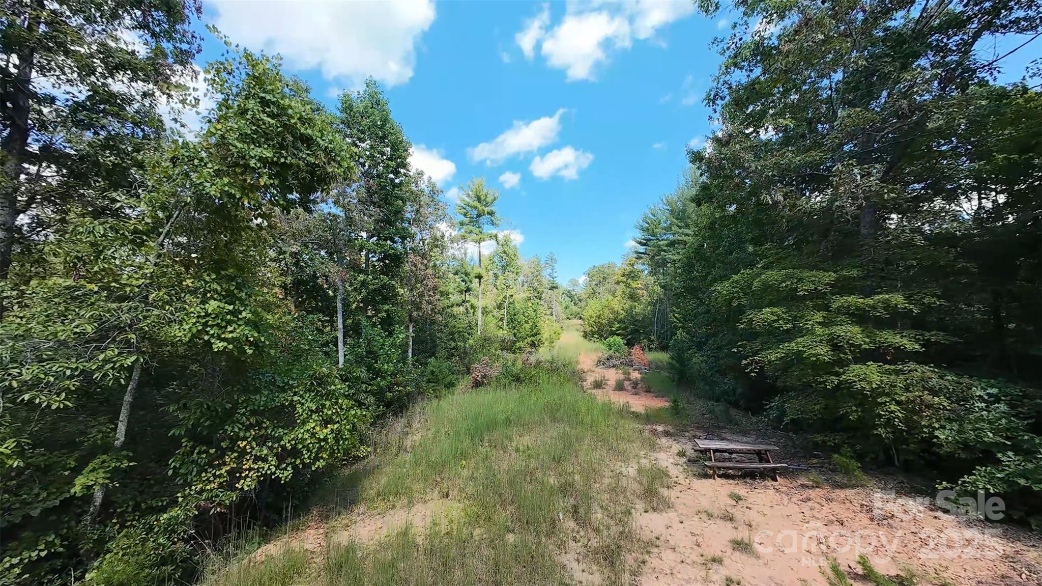 1831 John Wilson Lane 3 & #4 Property Photo 13