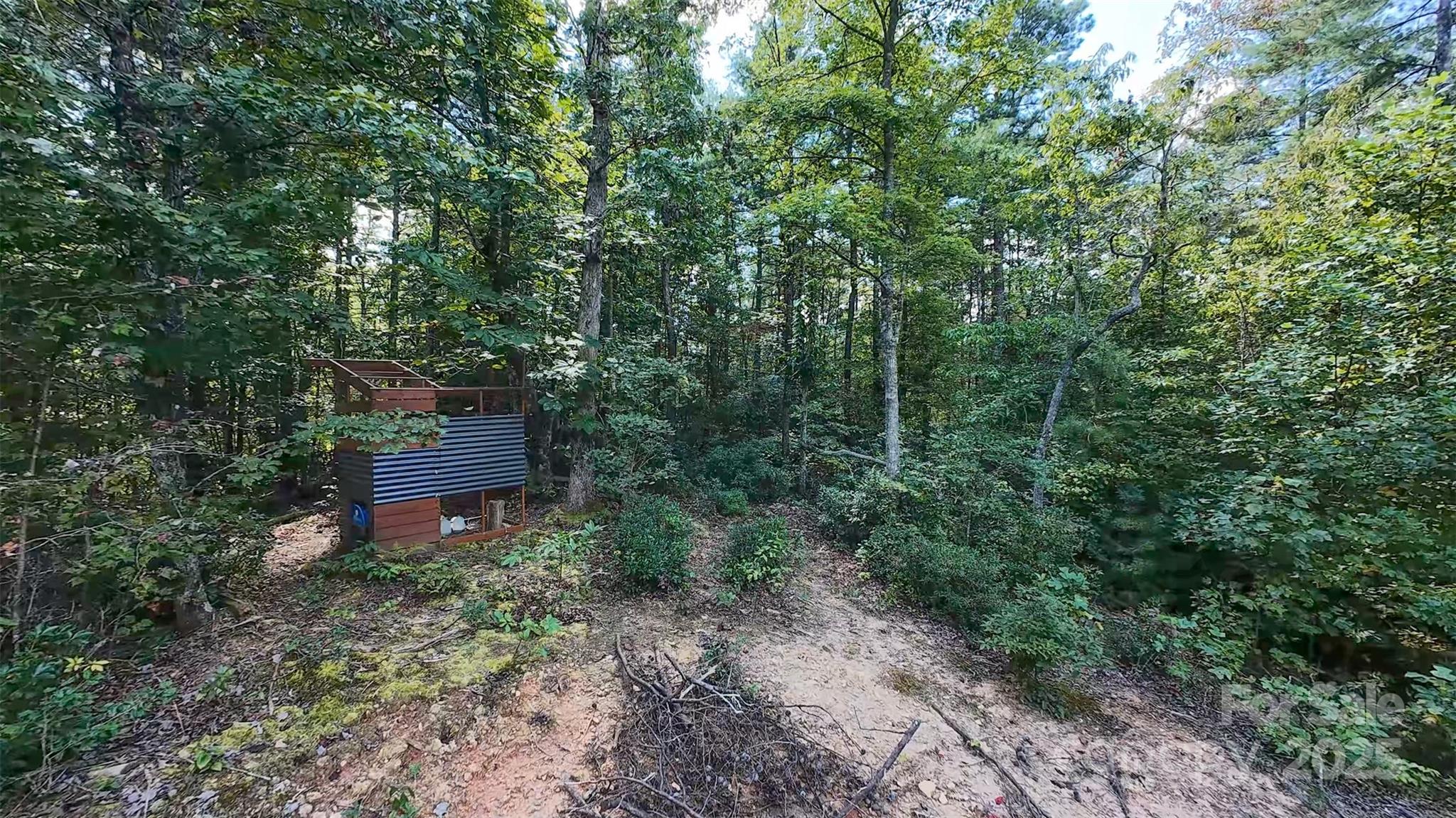 1831 John Wilson Lane 3 & #4 Property Photo 15