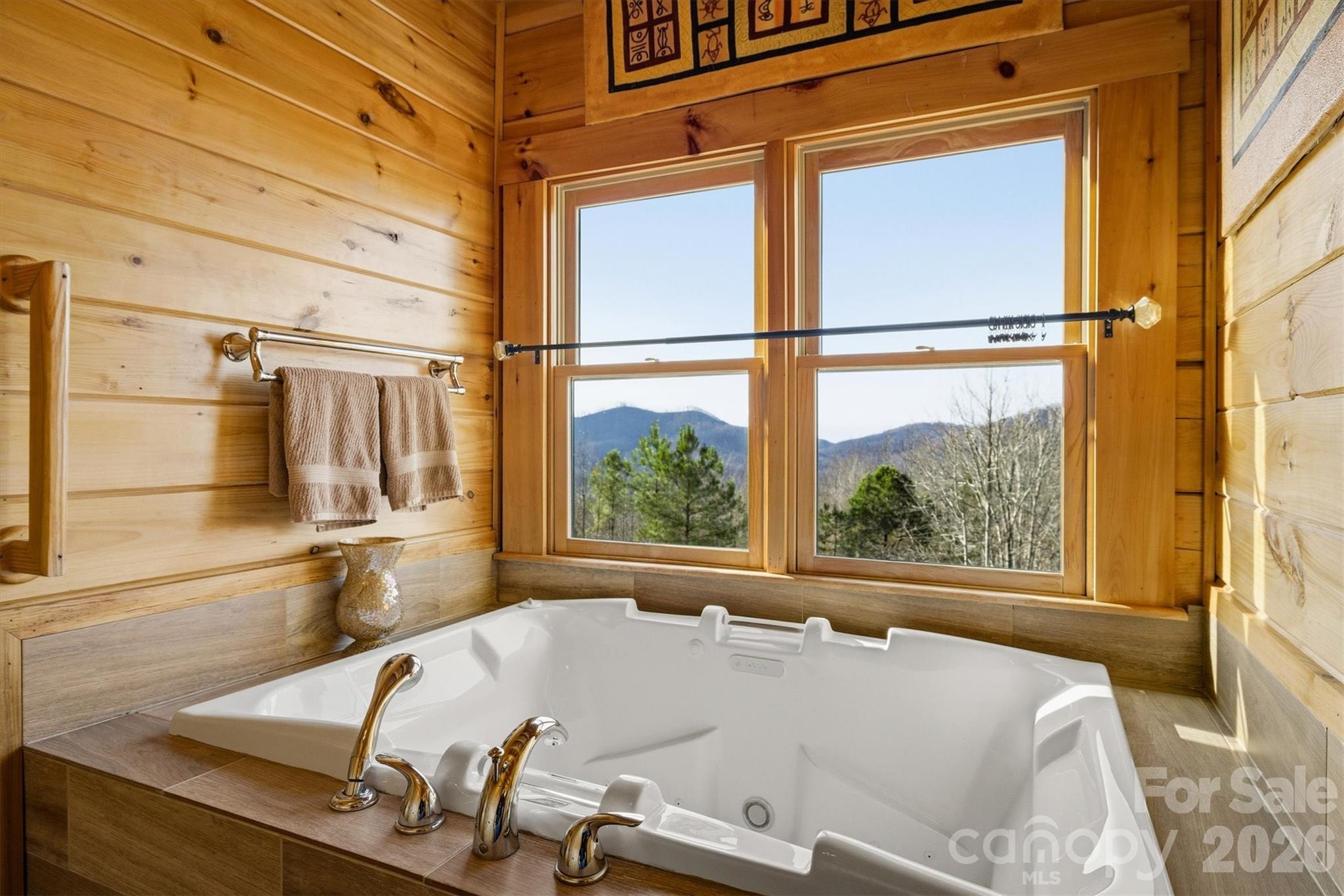334 Scenic Vista Drive 255 Property Photo 25