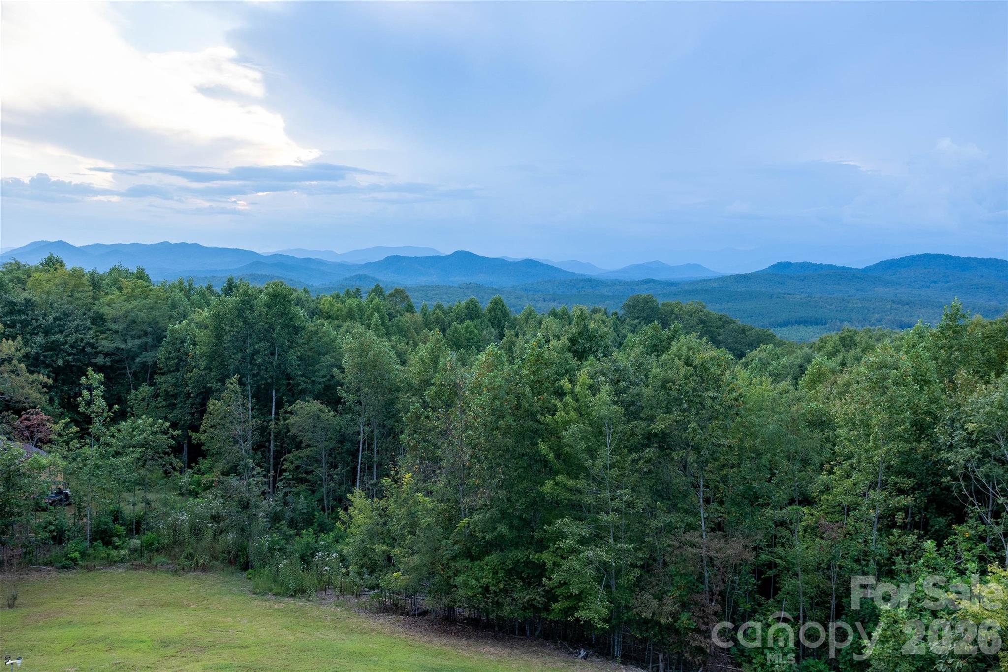 334 Scenic Vista Drive 255 Property Photo 42