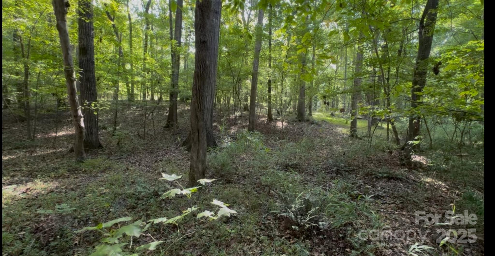 1402 Bloomsberry Lane Property Photo 2