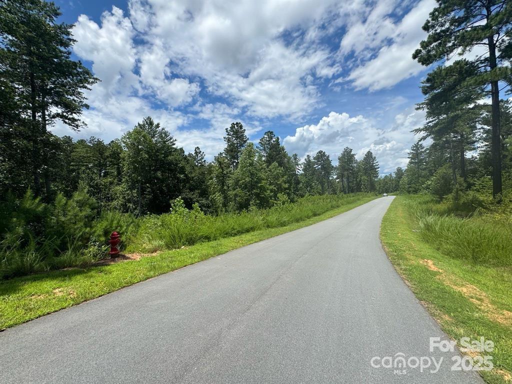 2169 Windom Peak Summit 199 Property Photo 7