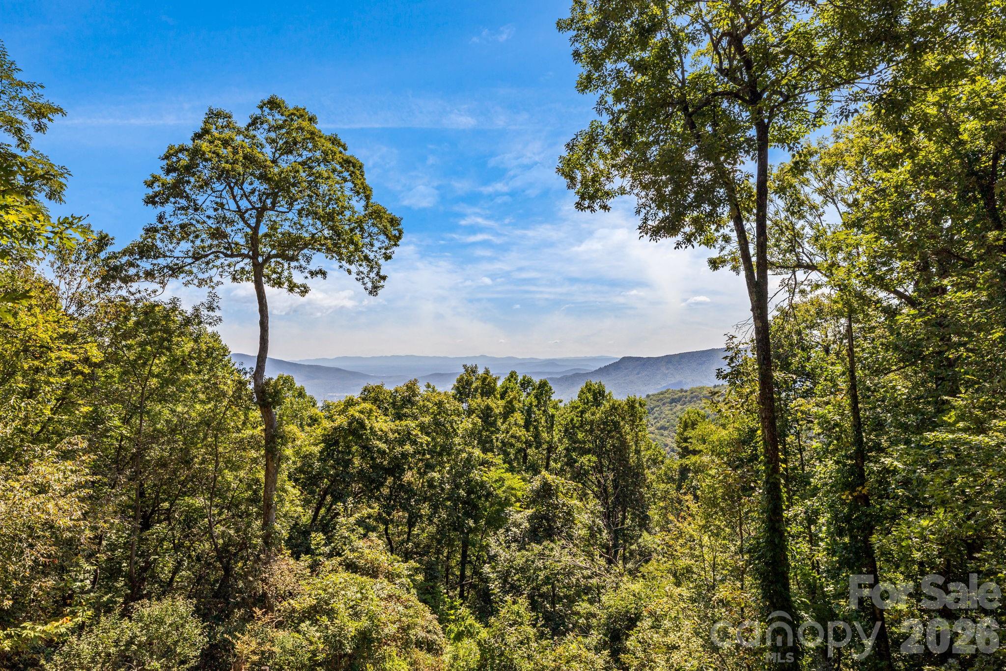 765/764 Osborne Knob Road Property Photo 7