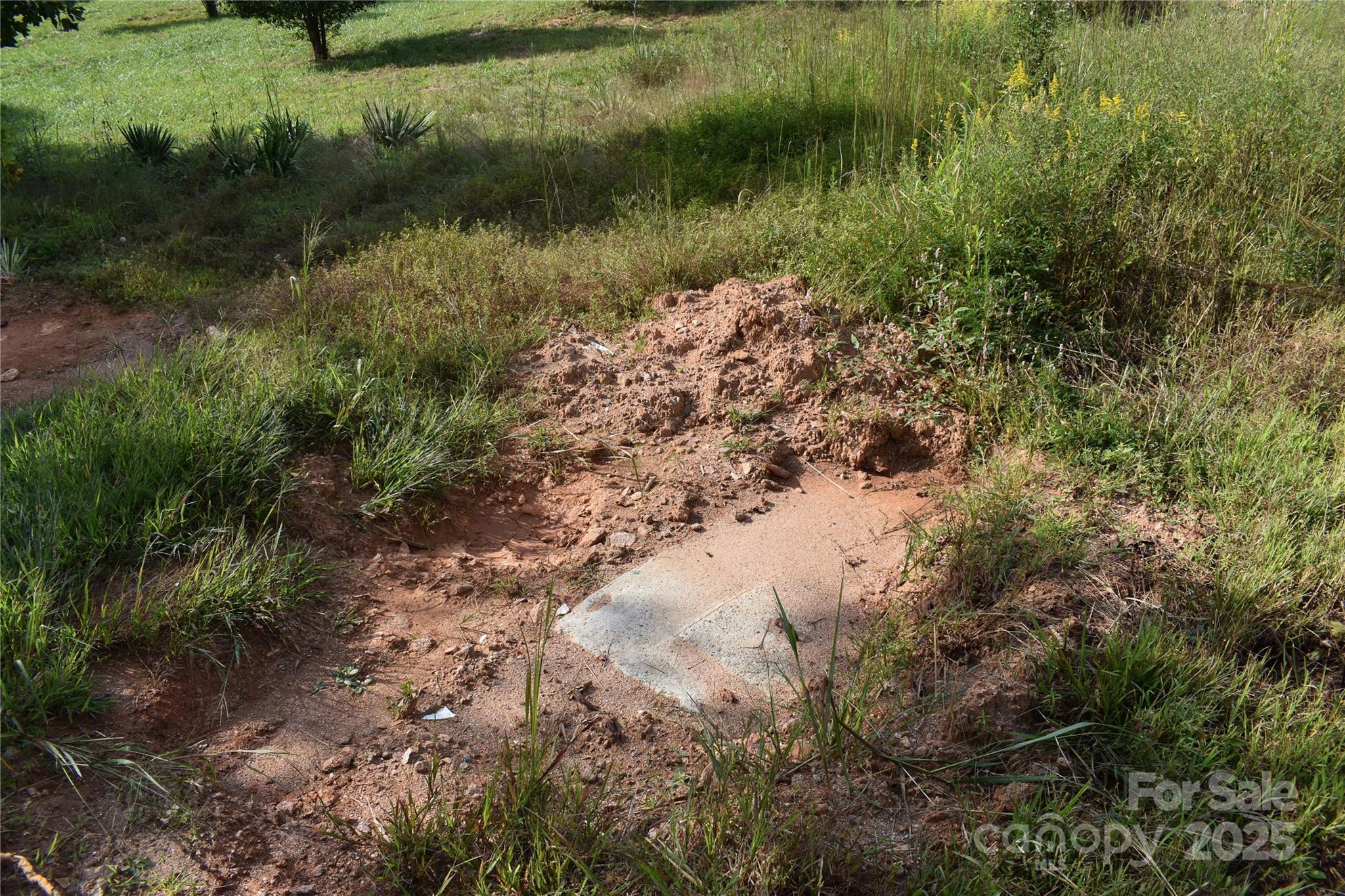 91 Sweet Gum Drive Property Photo 45