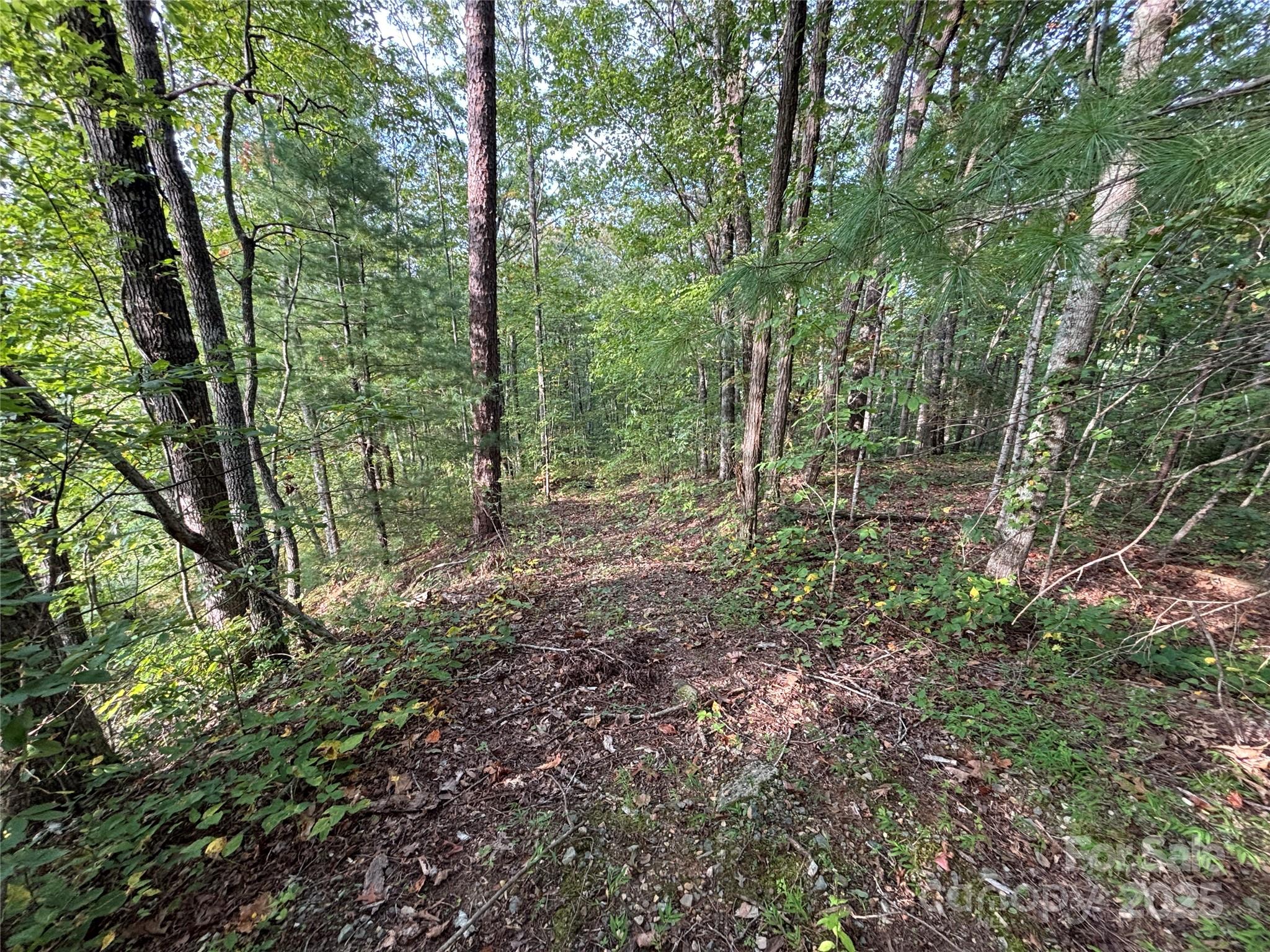 Lot 7 Madison Lane Property Photo 2