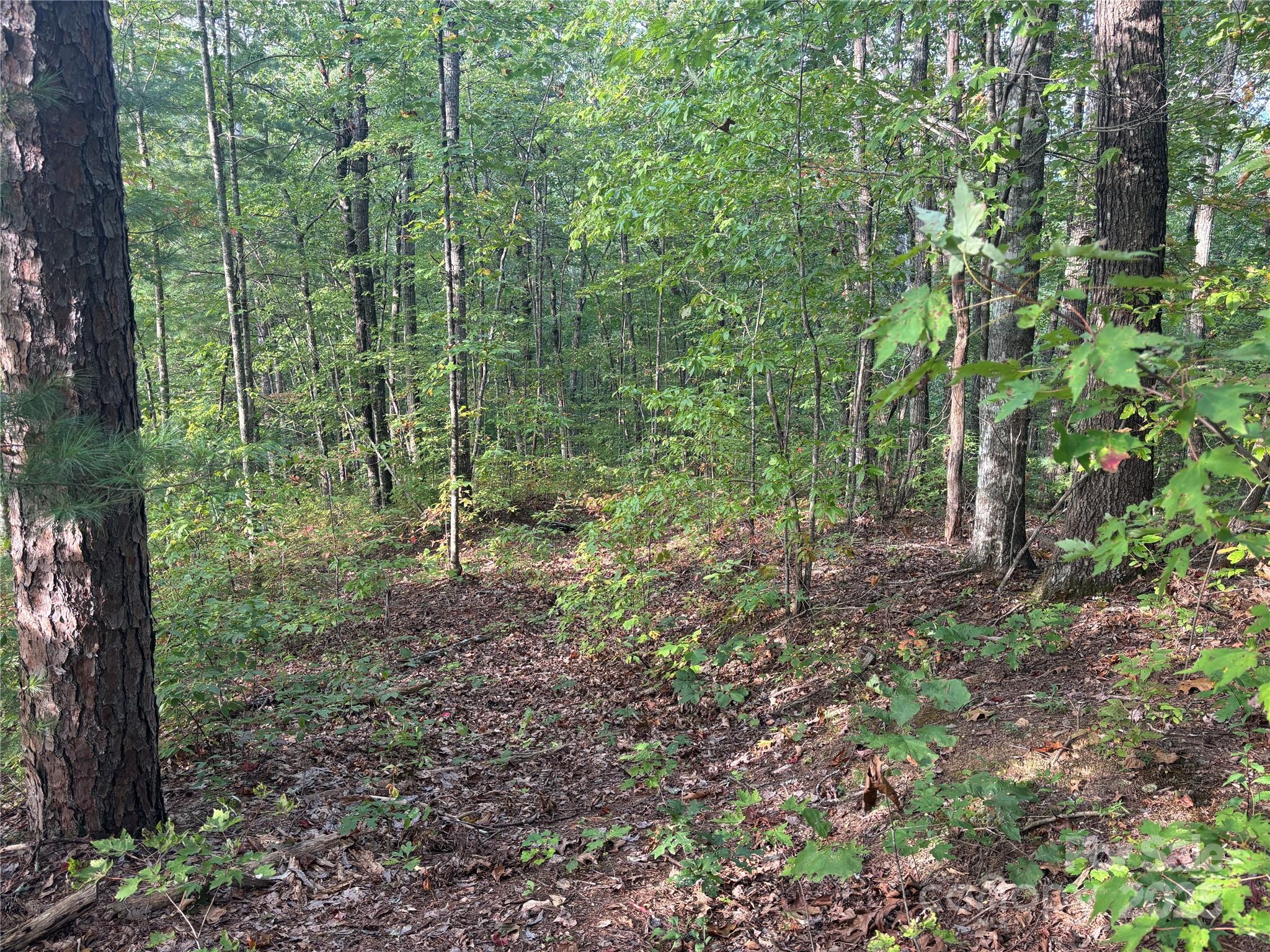 Lot 7 Madison Lane Property Photo 4