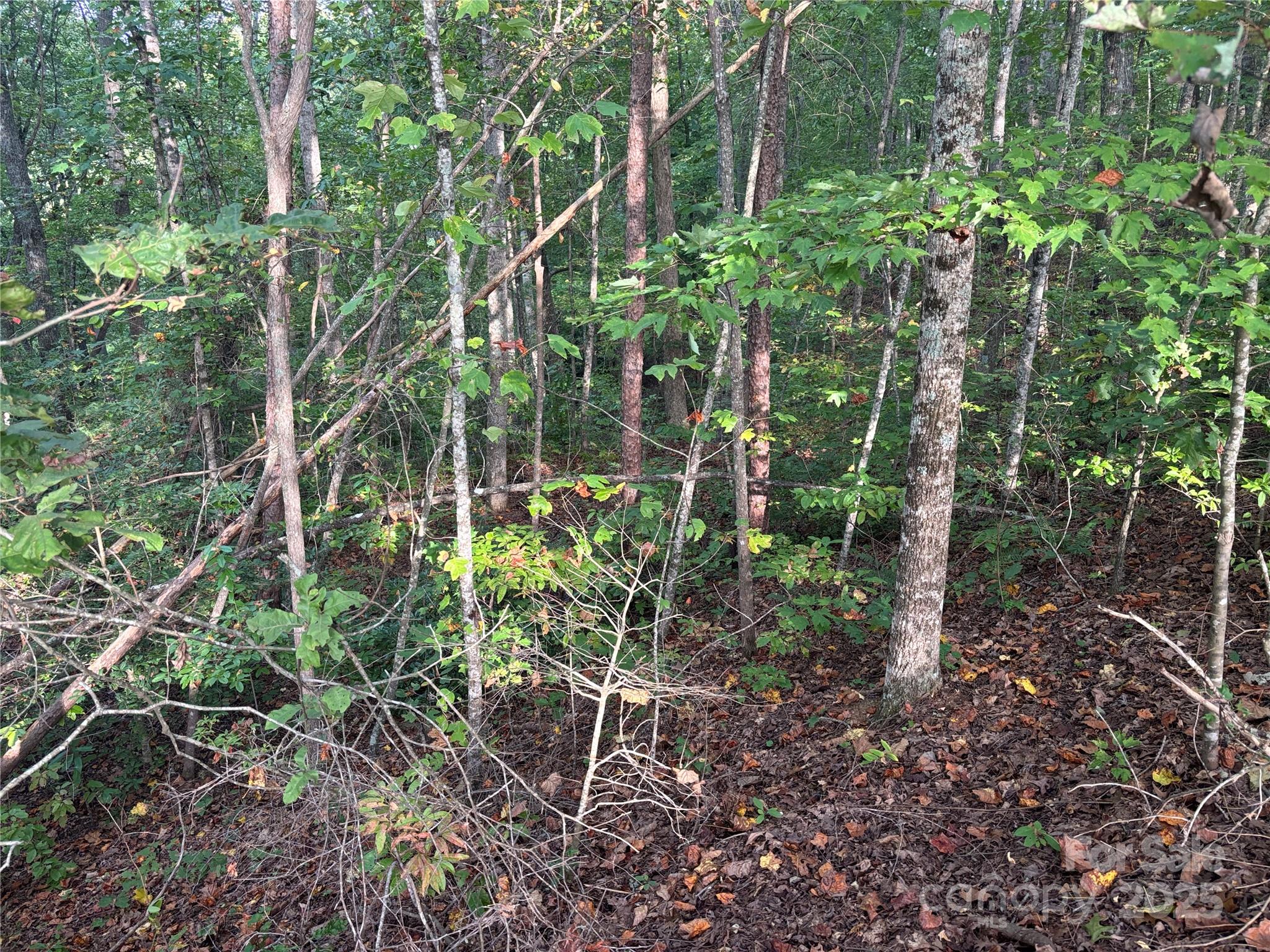 Lot 7 Madison Lane Property Photo 8