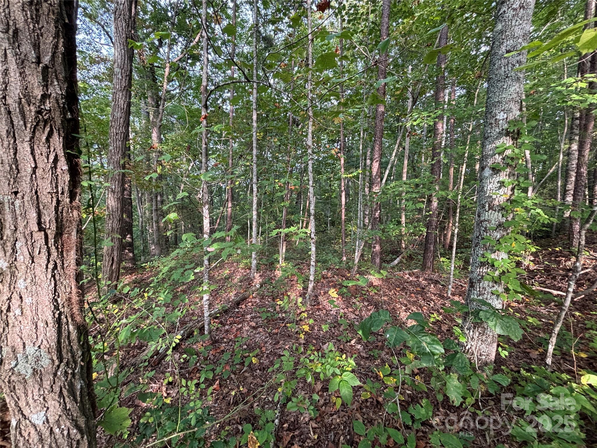 Lot 7 Madison Lane Property Photo 9