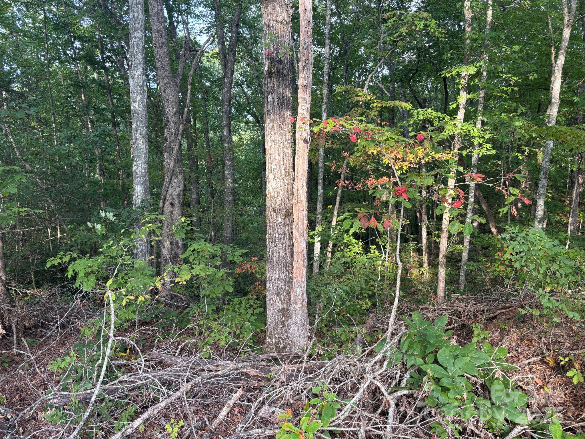 Lot 7 Madison Lane Property Photo 13