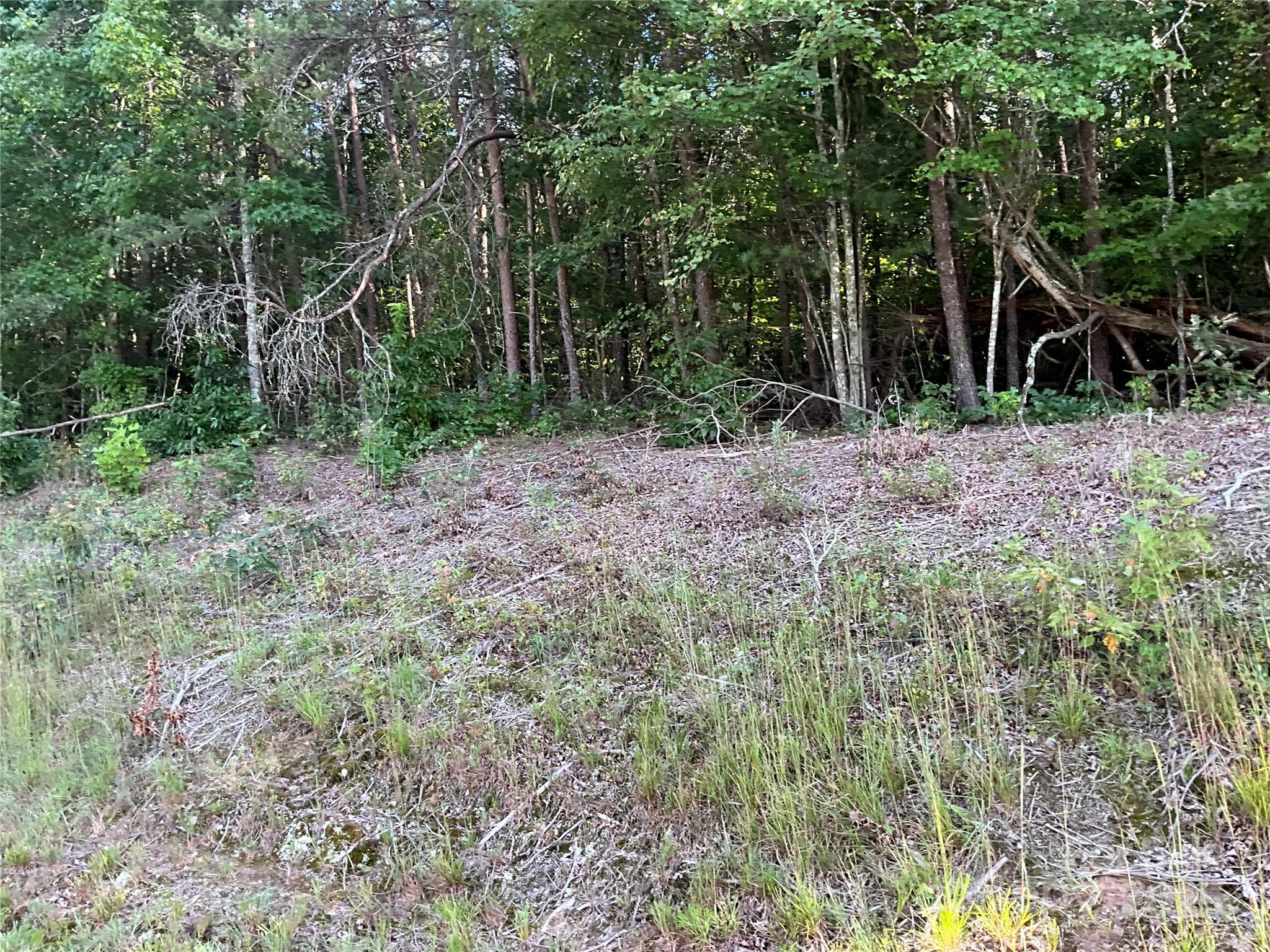 Tbd D G Echerd Road 2 Property Photo 3