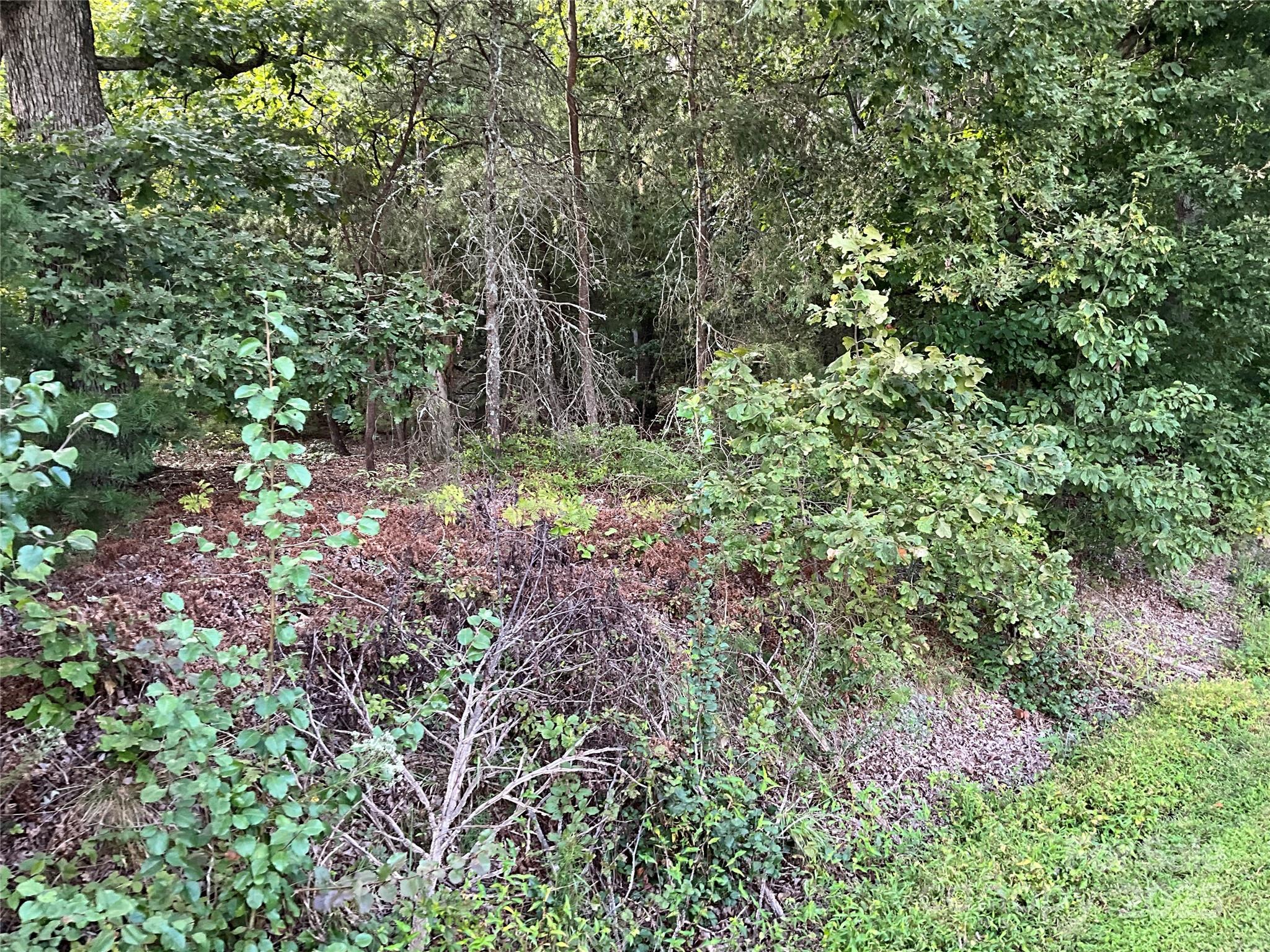 Tbd D G Echerd Road 2 Property Photo 8