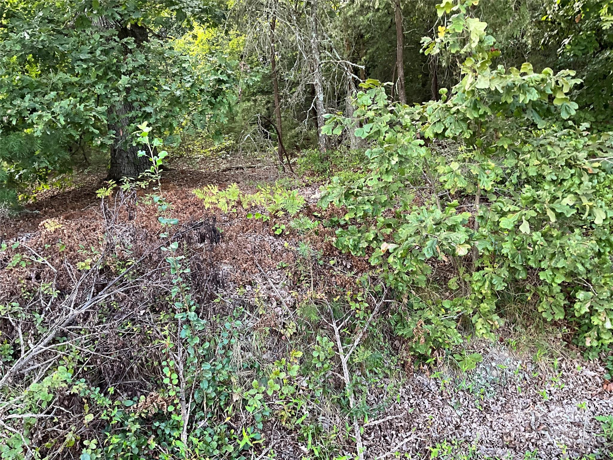 Tbd D G Echerd Road 2 Property Photo 9