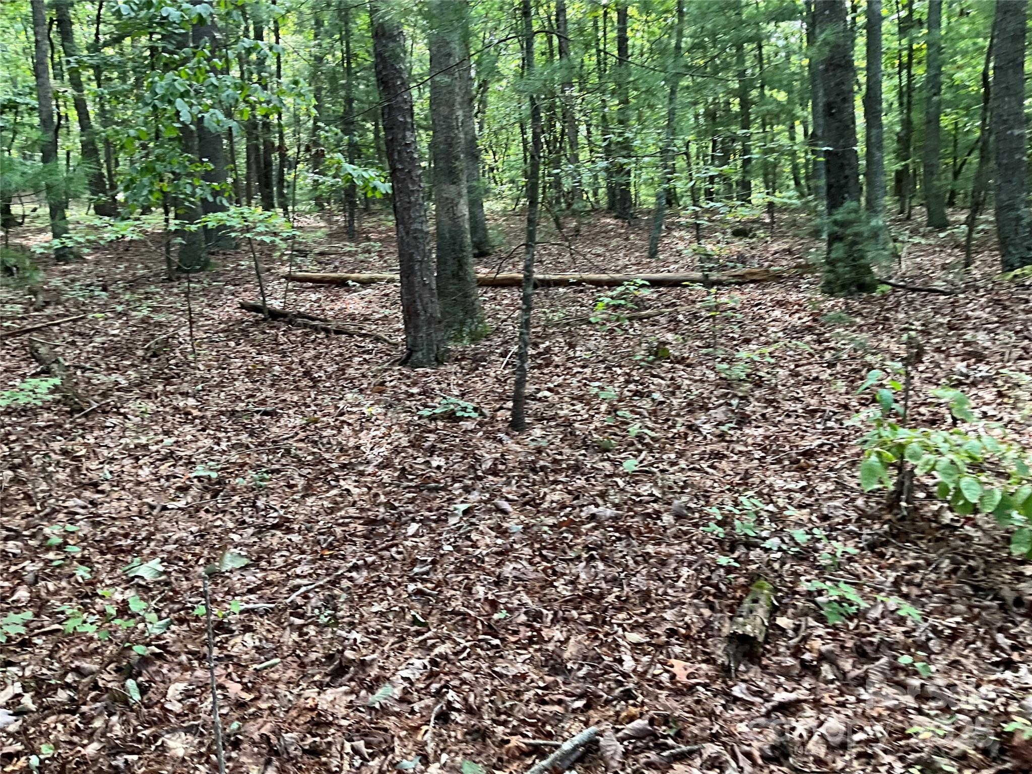 Tbd D G Echerd Road 2 Property Photo 12