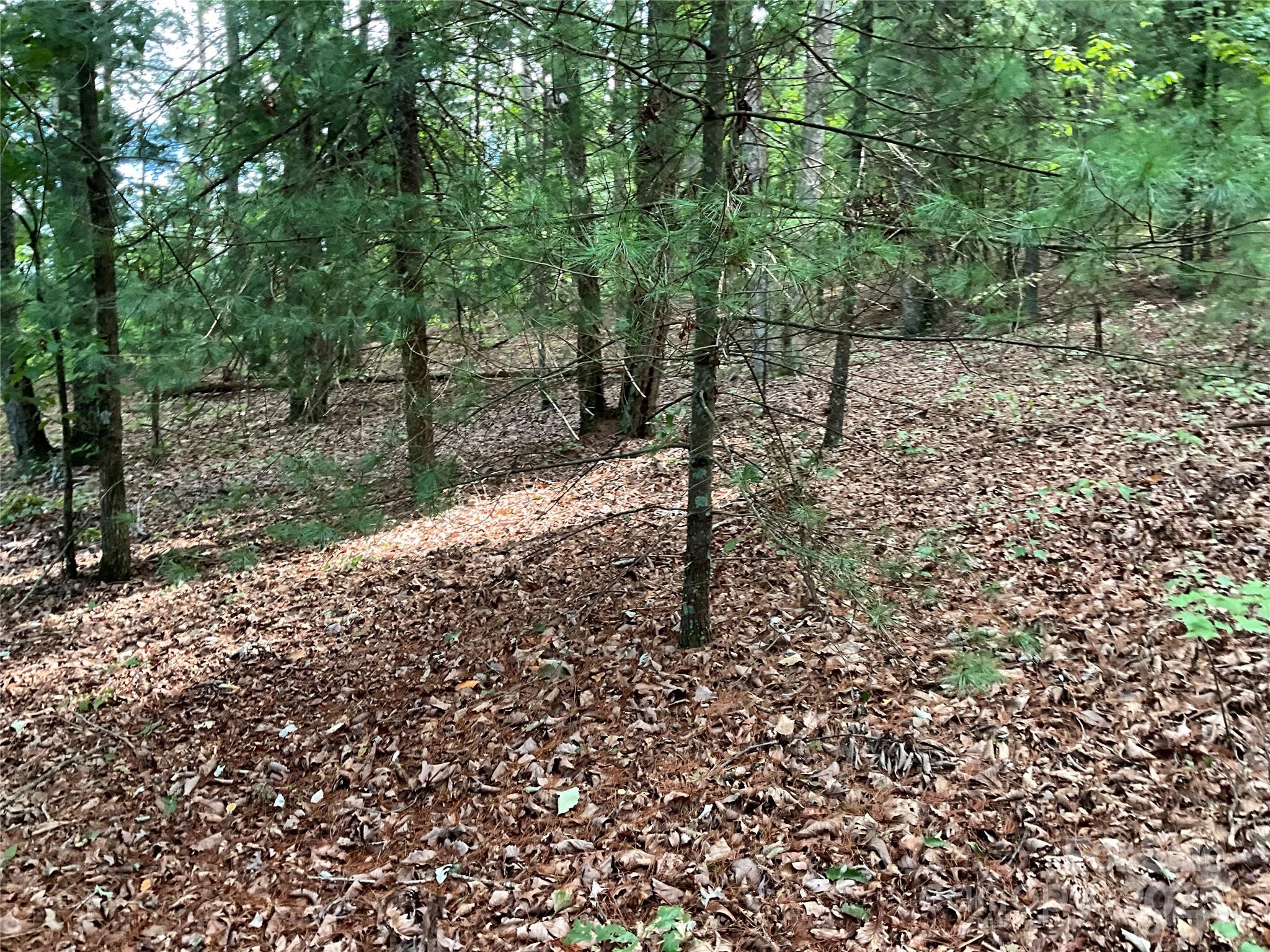 Tbd D G Echerd Road 2 Property Photo 13