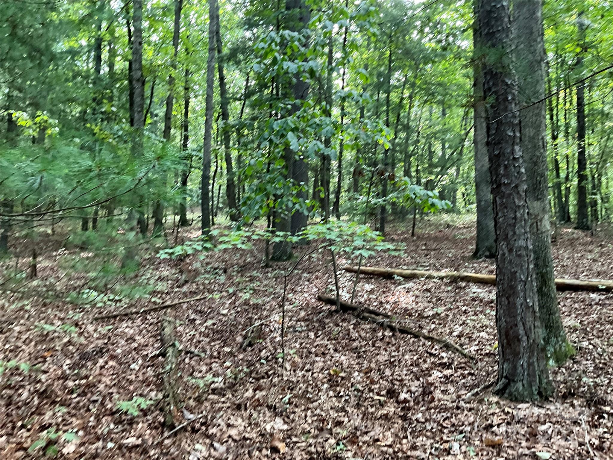 Tbd D G Echerd Road 2 Property Photo 14