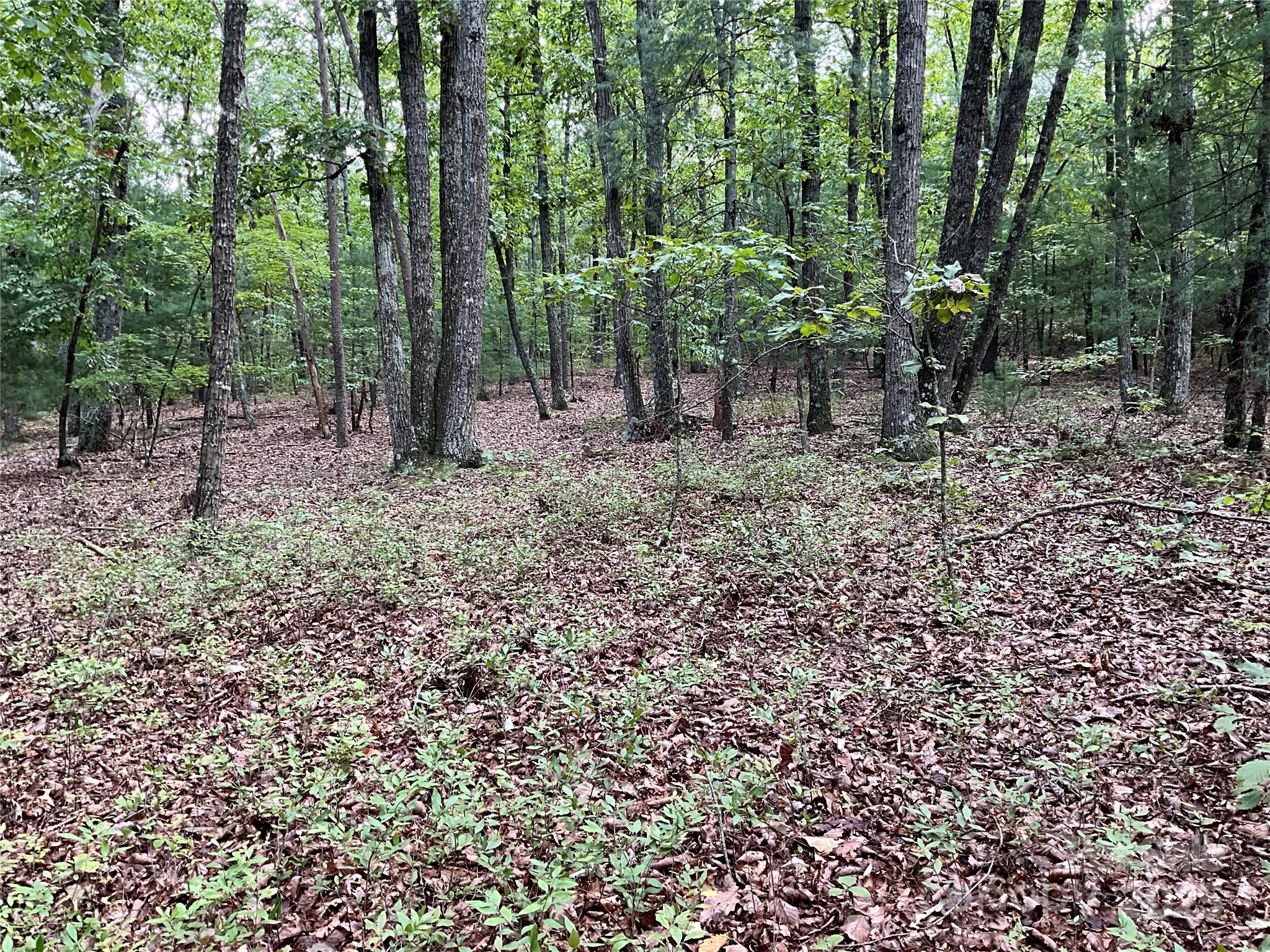 Tbd D G Echerd Road 2 Property Photo 18