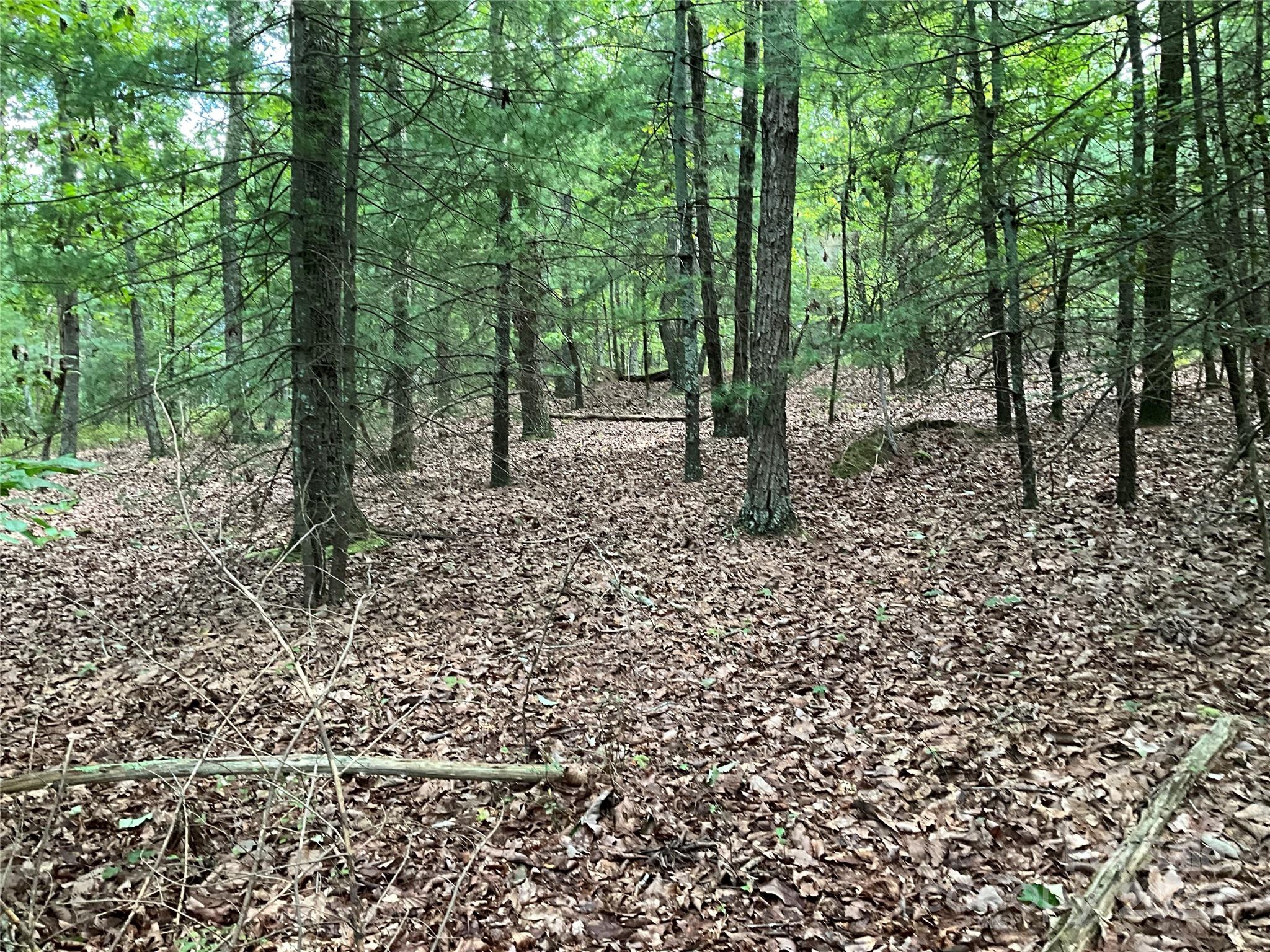 Tbd D G Echerd Road 2 Property Photo 19