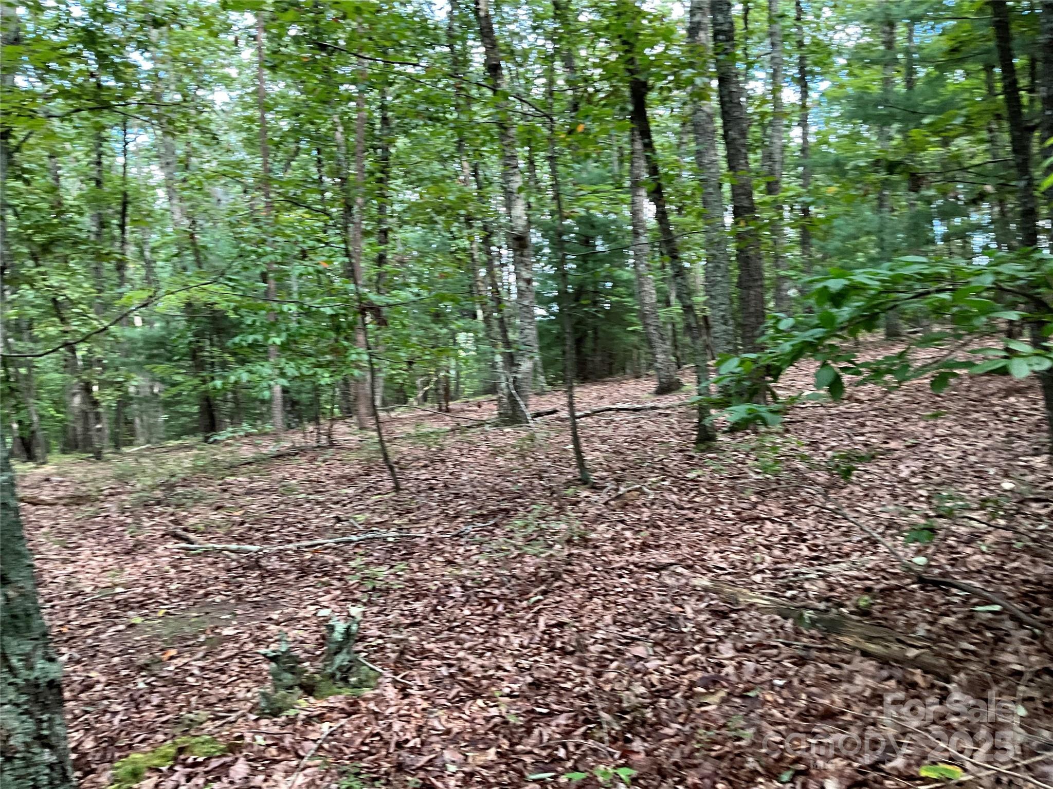 Tbd D G Echerd Road 2 Property Photo 20