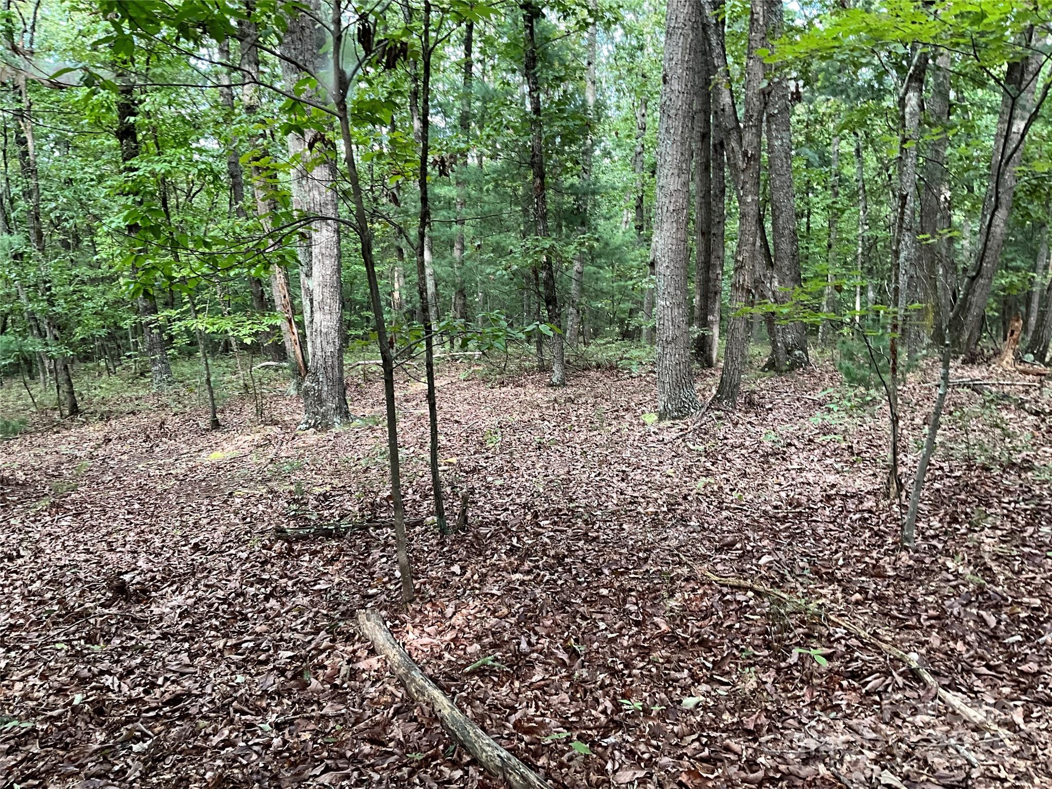 Tbd D G Echerd Road 2 Property Photo 21