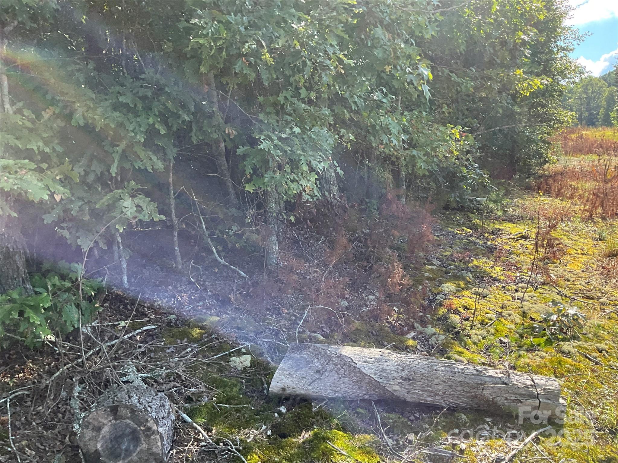 Tbd D G Echerd Road 2 Property Photo 25