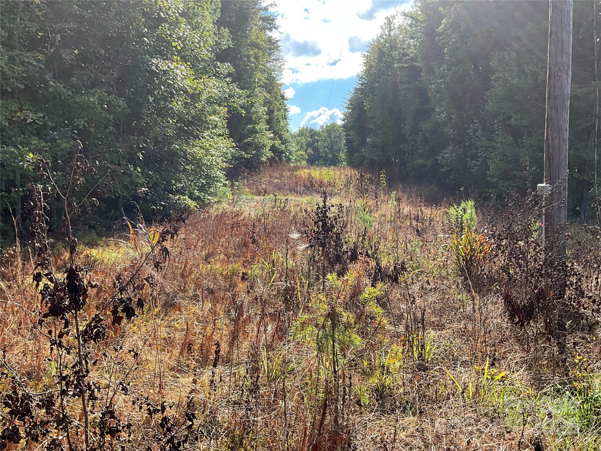 Tbd D G Echerd Road 2 Property Photo 26