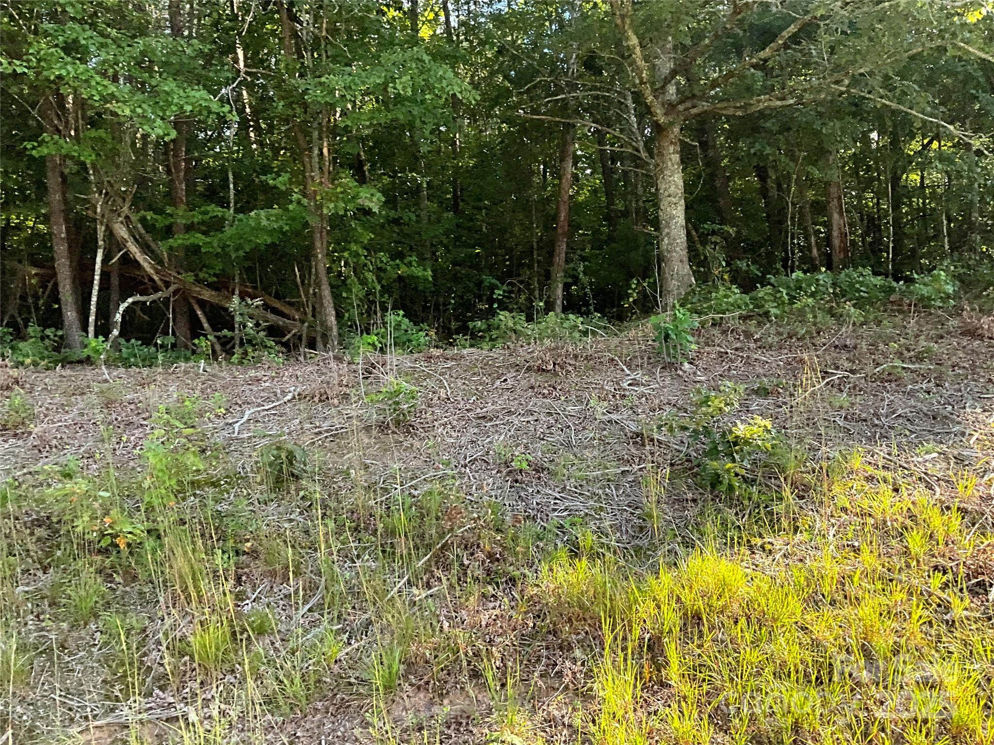 Tbd D G Echerd Road 2 Property Photo 31