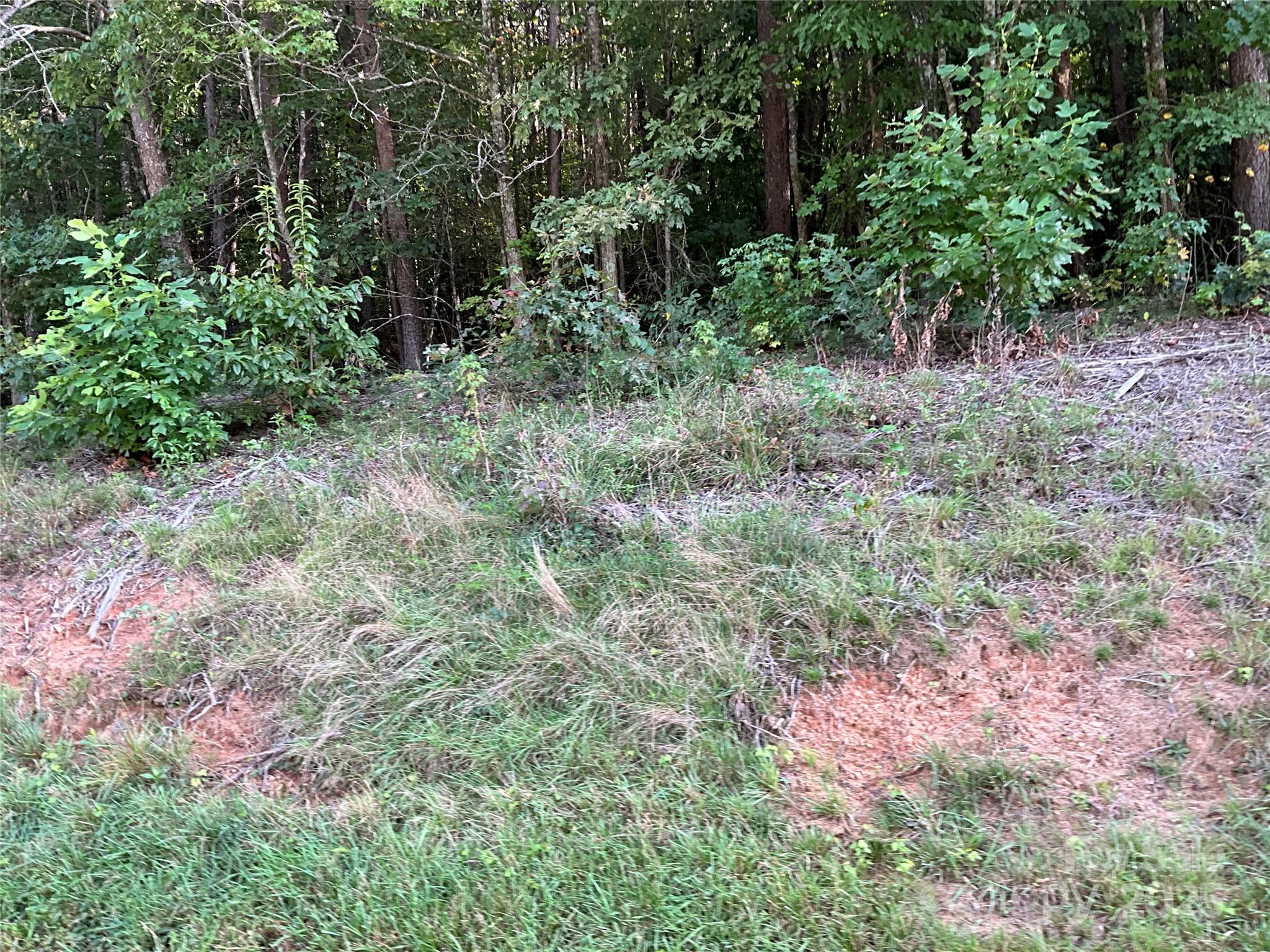 Tbd D G Echerd Road 2 Property Photo 33