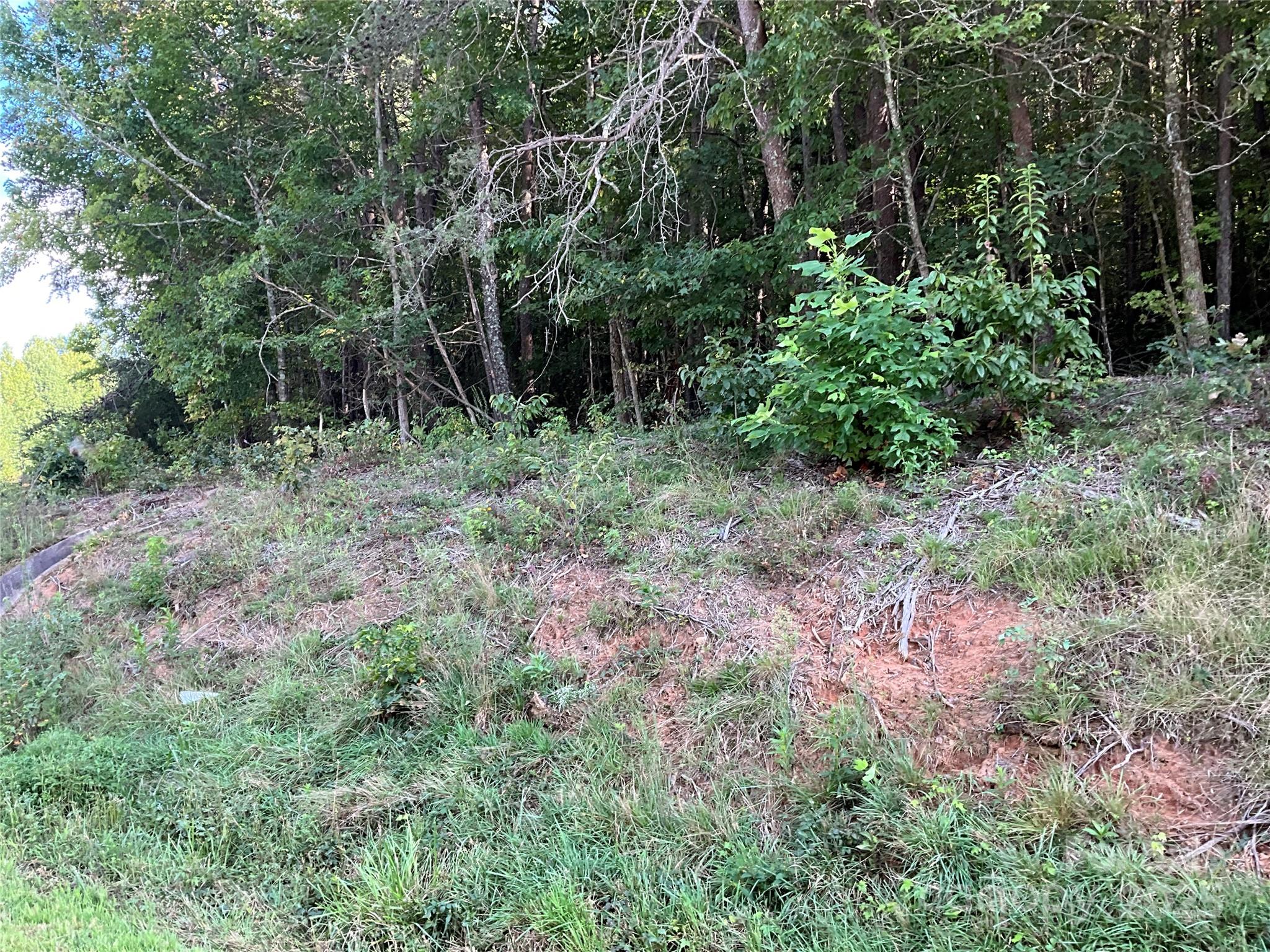 Tbd D G Echerd Road 2 Property Photo 35