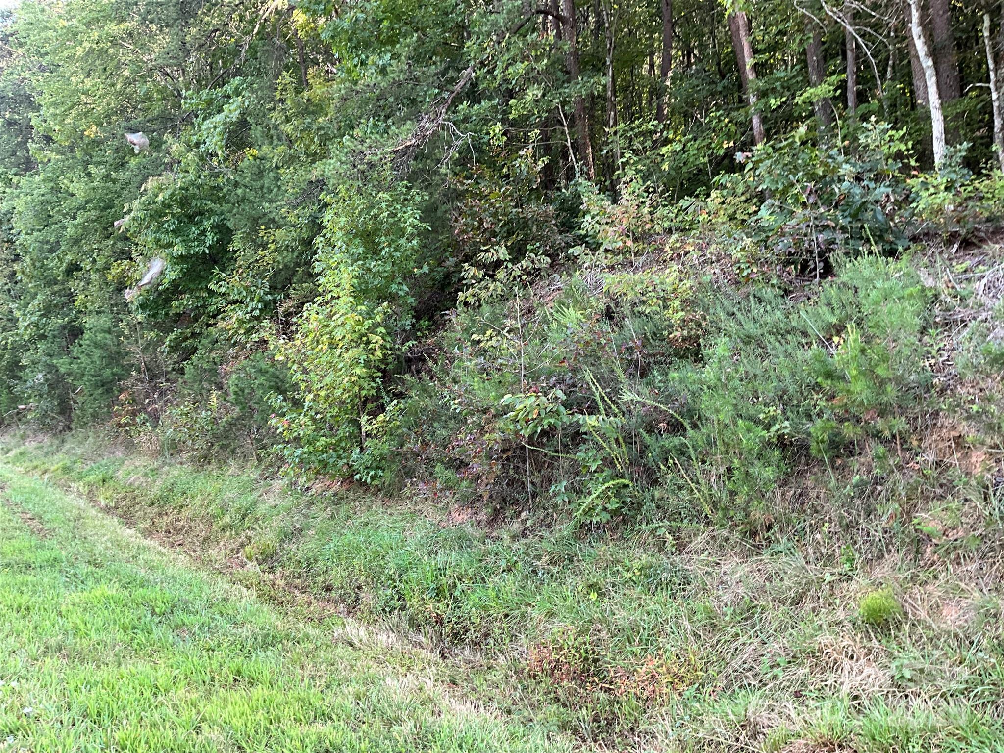 Tbd D G Echerd Road 2 Property Photo 37