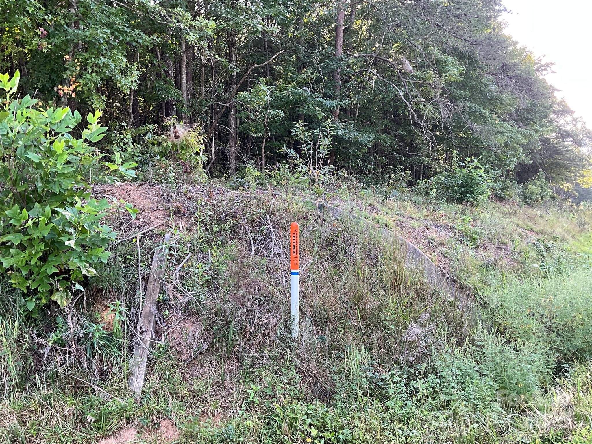 Tbd D G Echerd Road 2 Property Photo 38