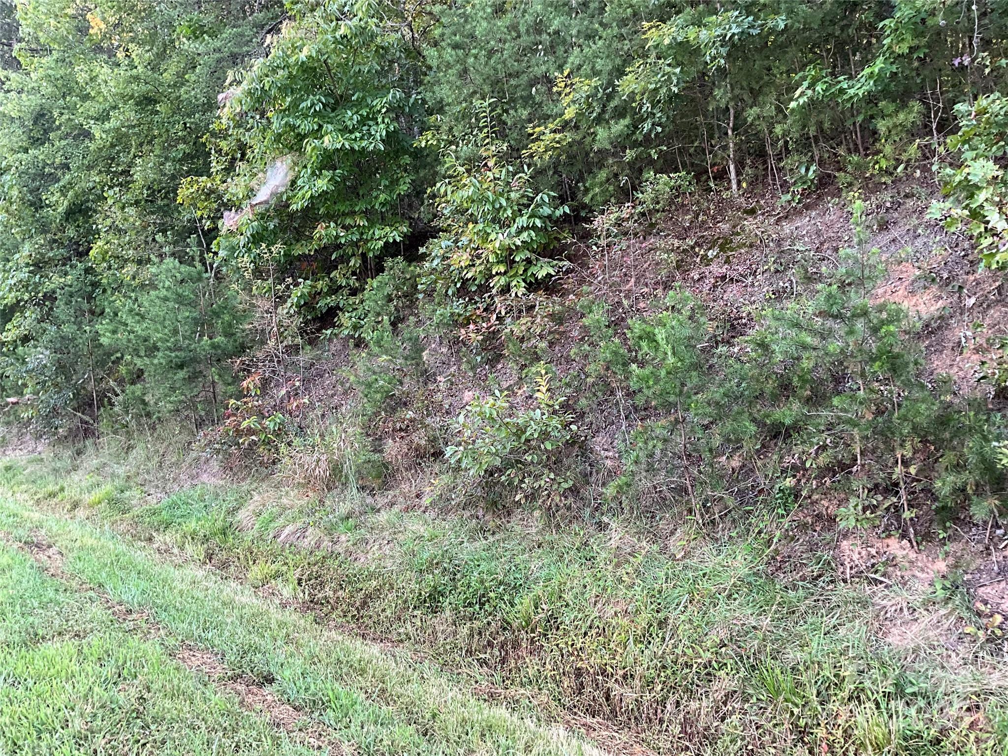 Tbd D G Echerd Road 2 Property Photo 39