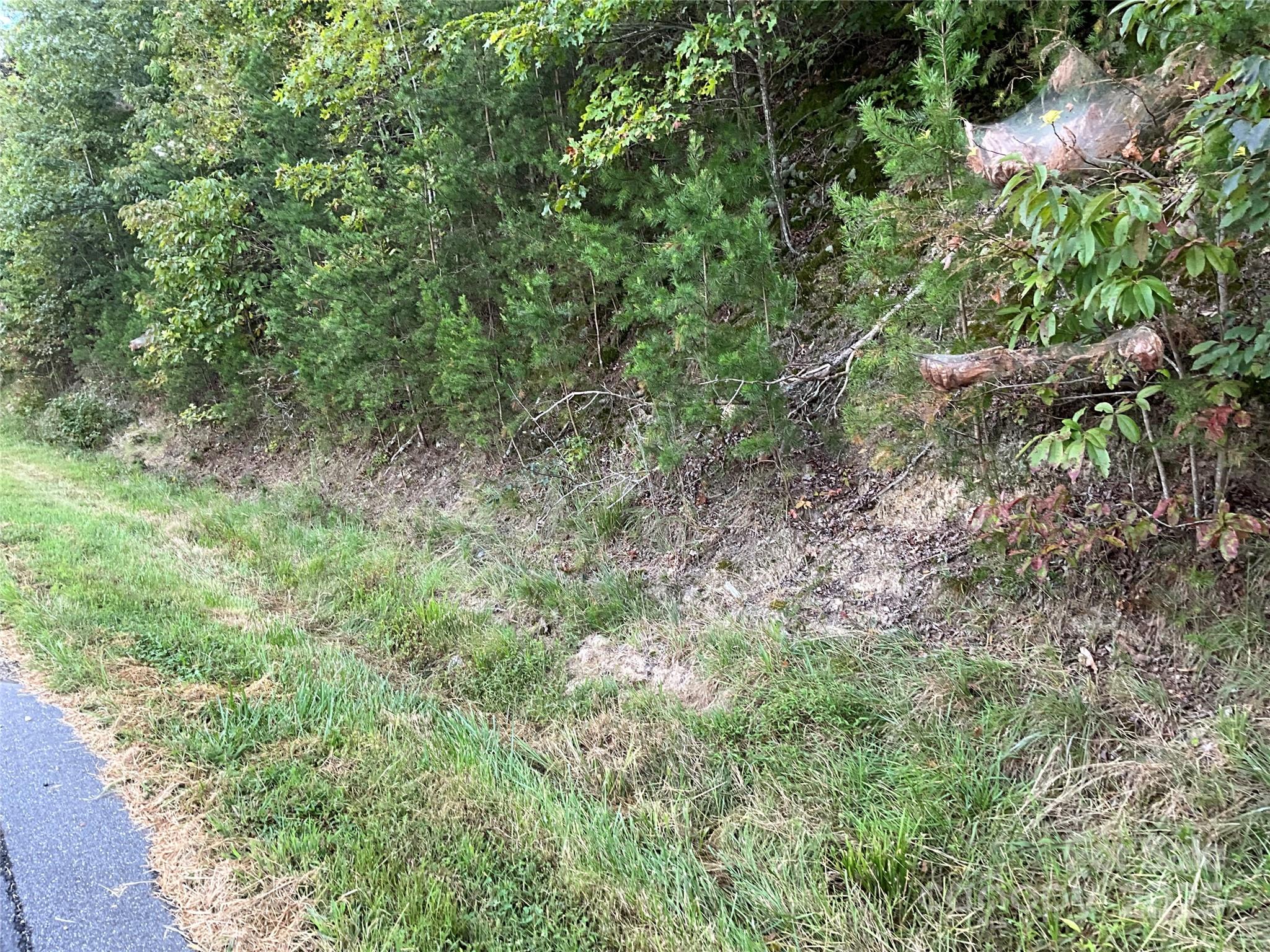 Tbd D G Echerd Road 2 Property Photo 40