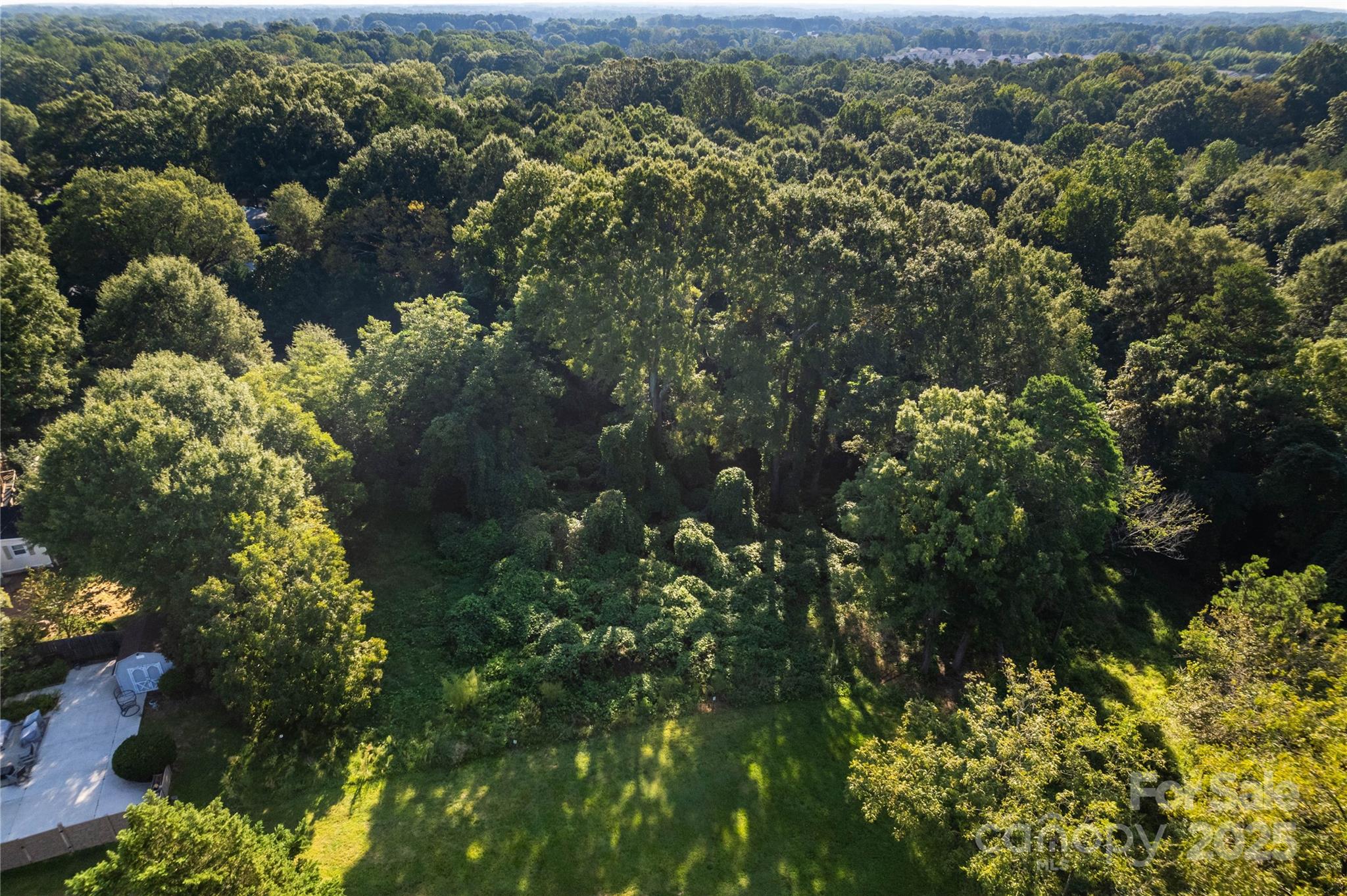 00 Pine Street Property Photo 7