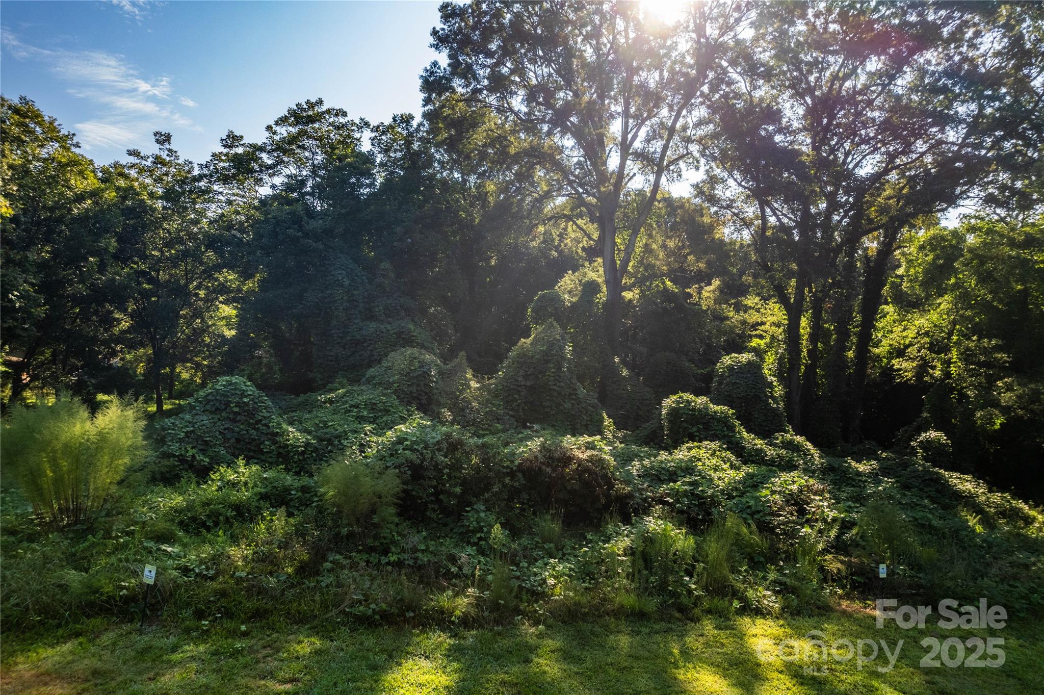 00 Pine Street Property Photo 10