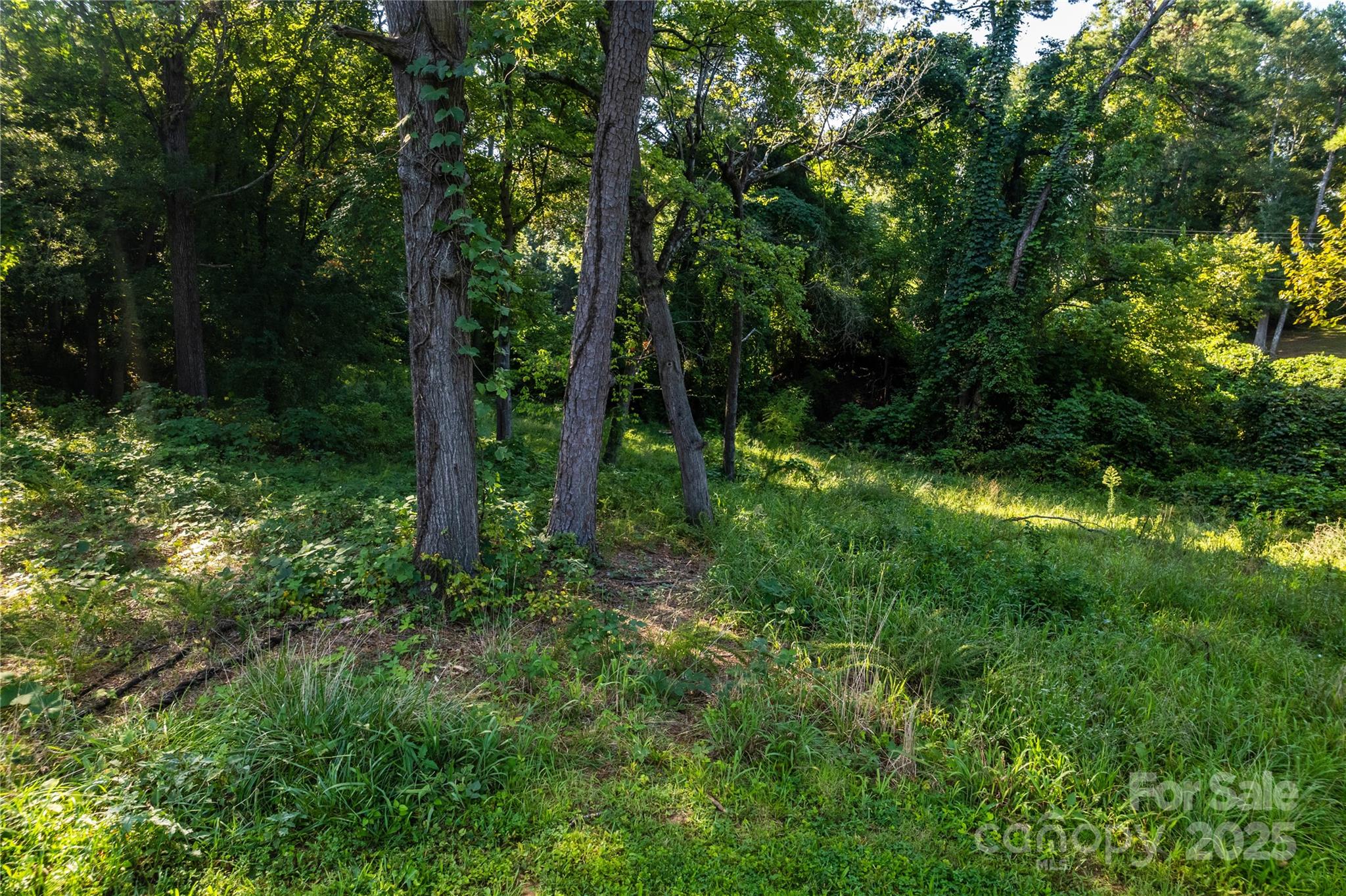 00 Pine Street Property Photo 11