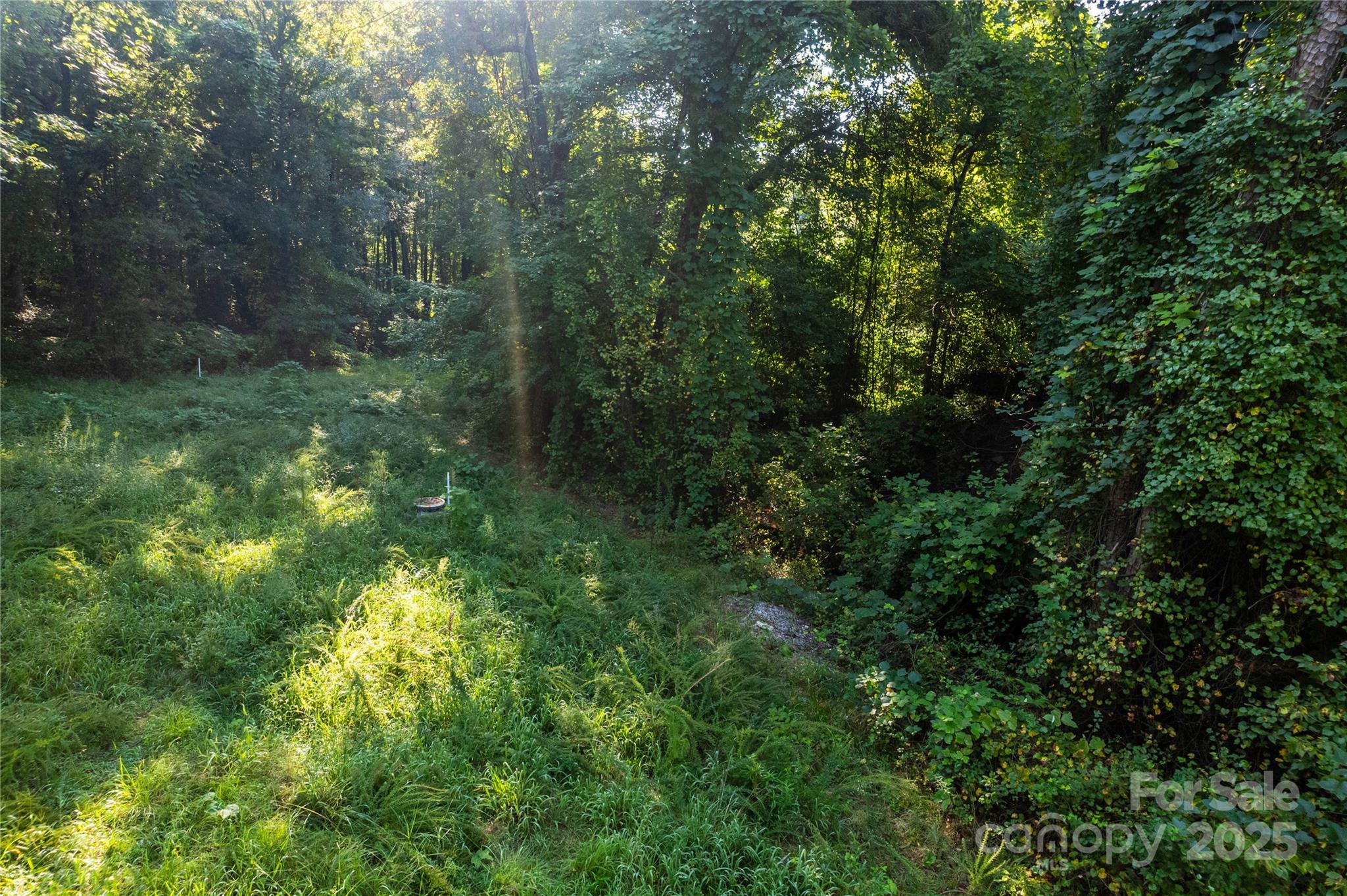 00 Pine Street Property Photo 12