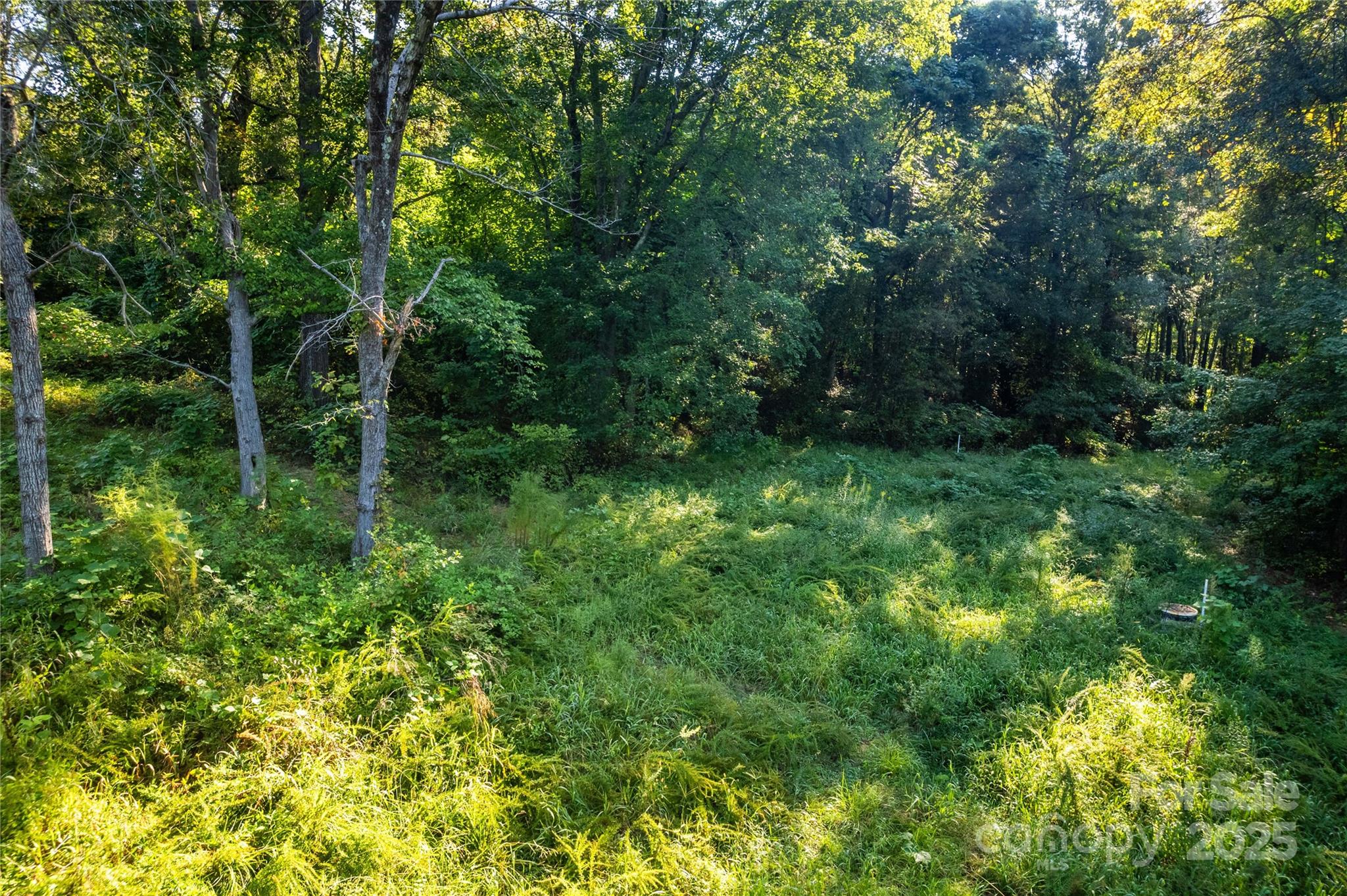 00 Pine Street Property Photo 13