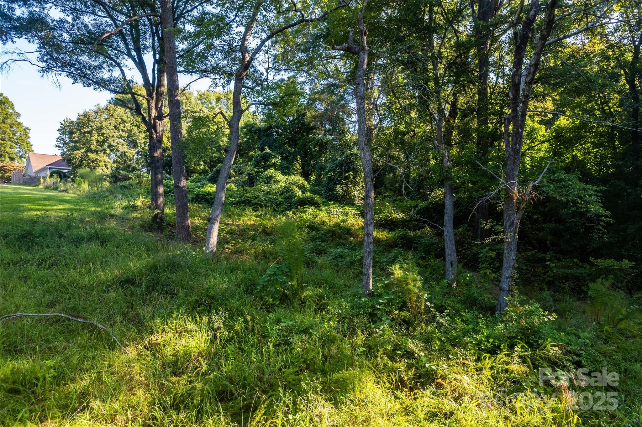 00 Pine Street Property Photo 14