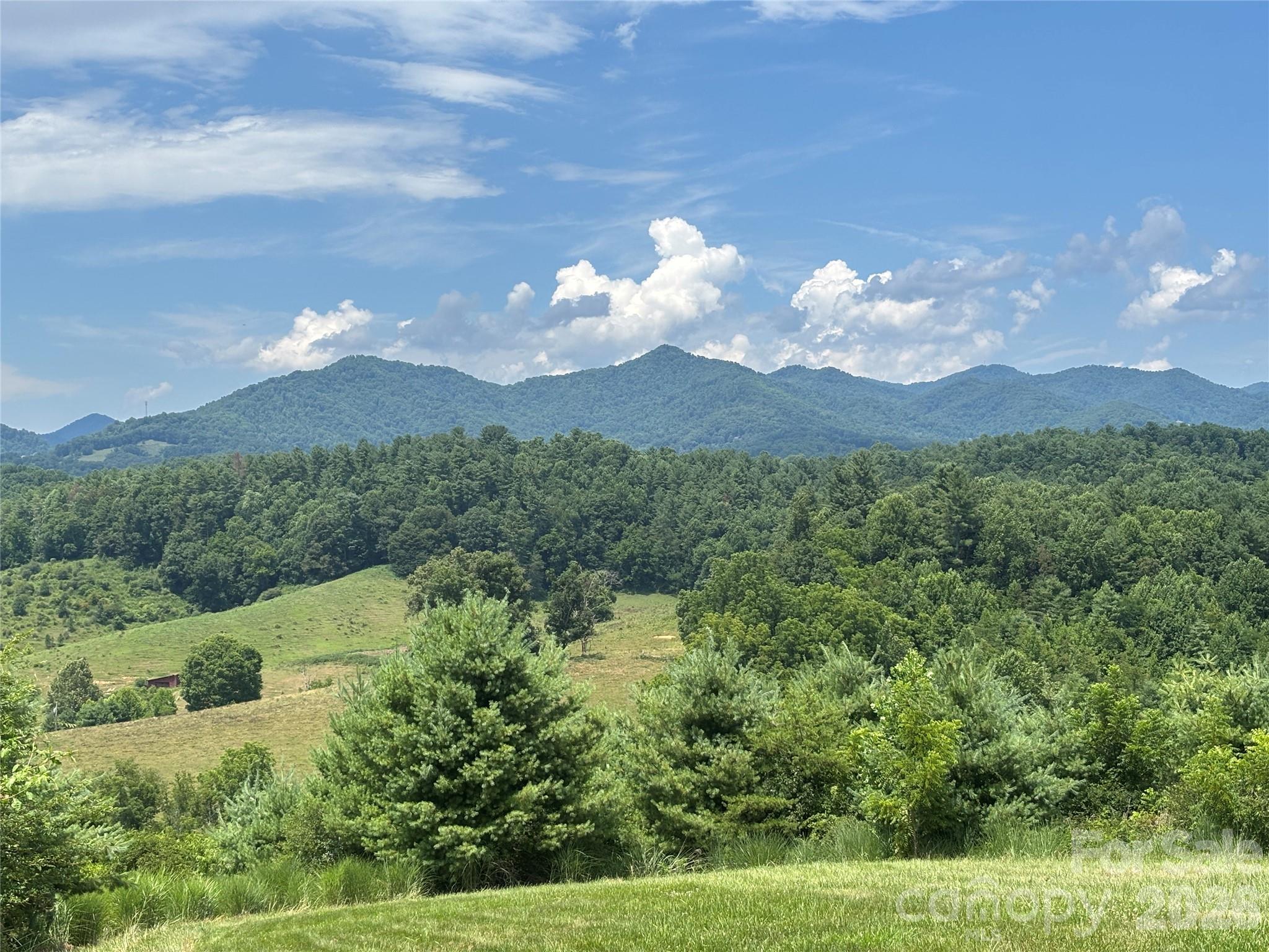 1387 Woods Ammons Road Property Photo 3