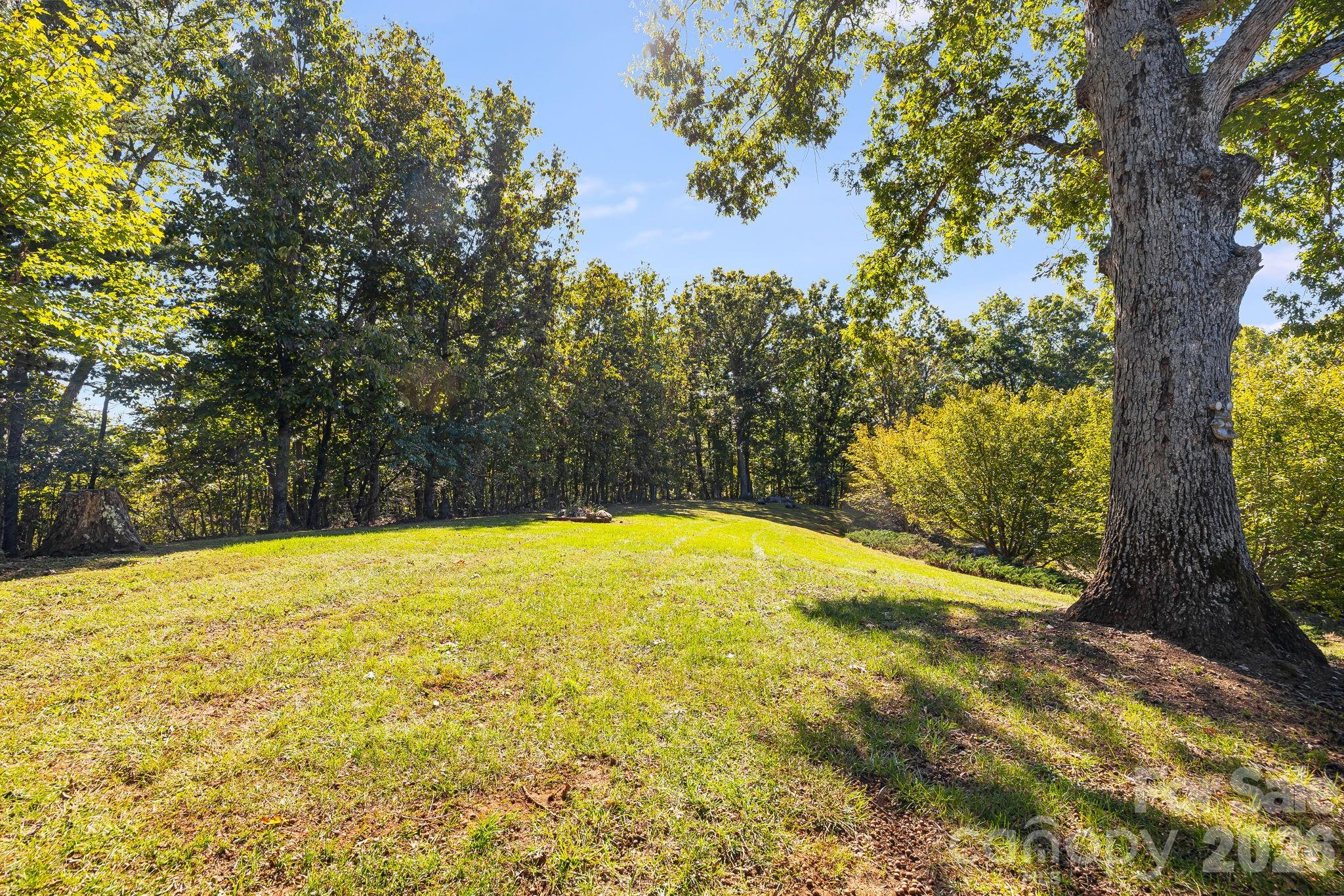 1387 Woods Ammons Road Property Photo 39