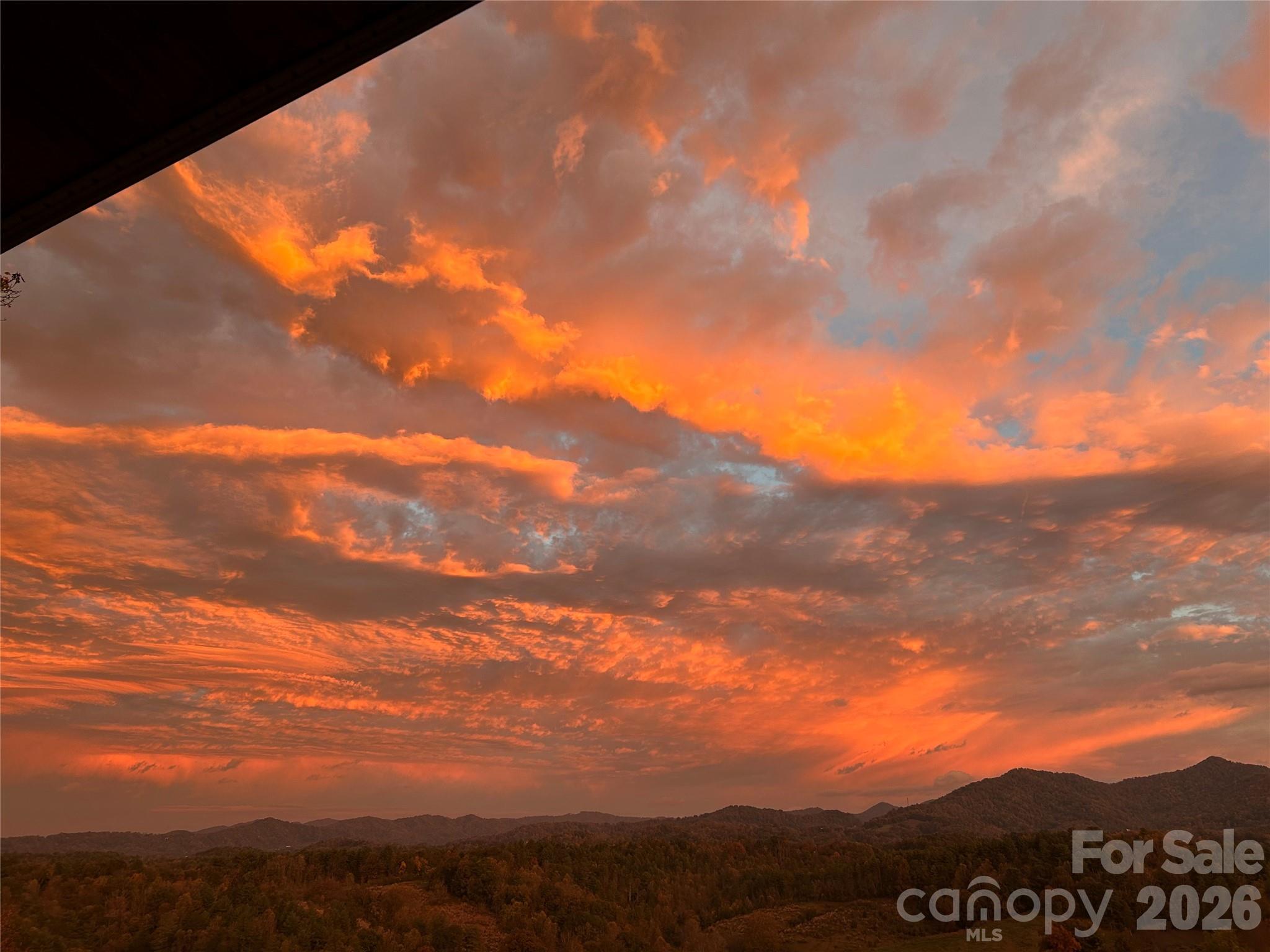 1387 Woods Ammons Road Property Photo 48